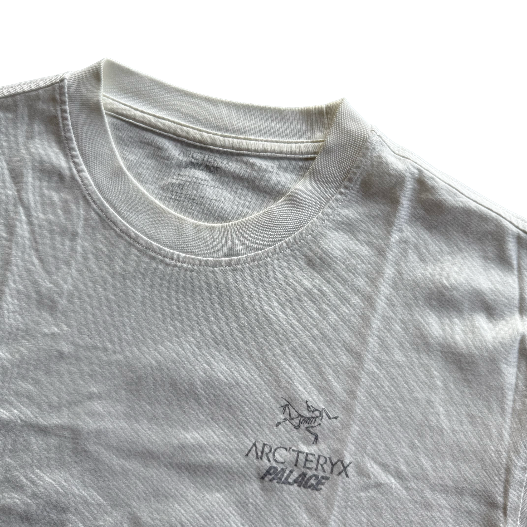 Palace x Arcteryx FW20 Tri Ferg Tee