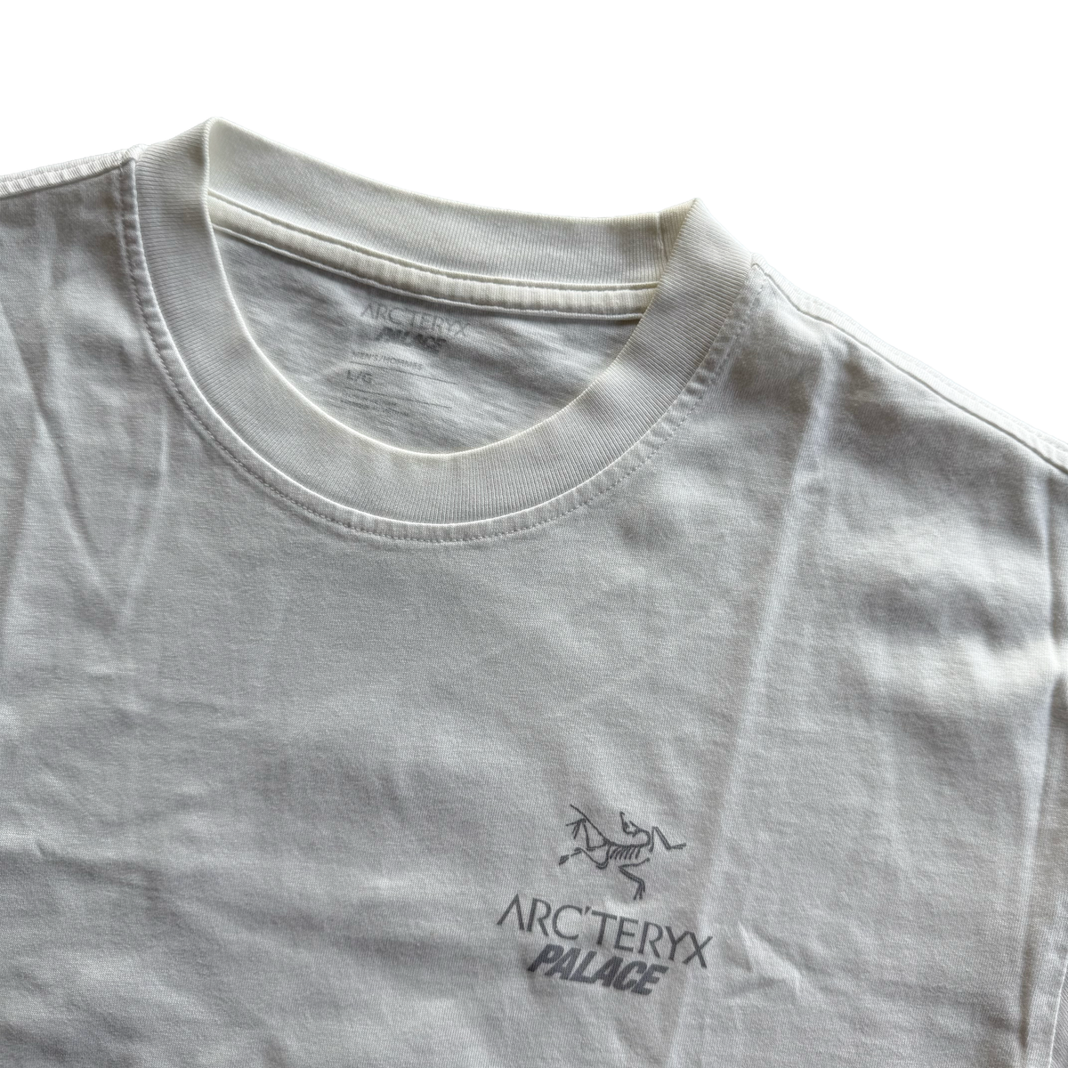 Palace x Arcteryx FW20 Tri Ferg Tee
