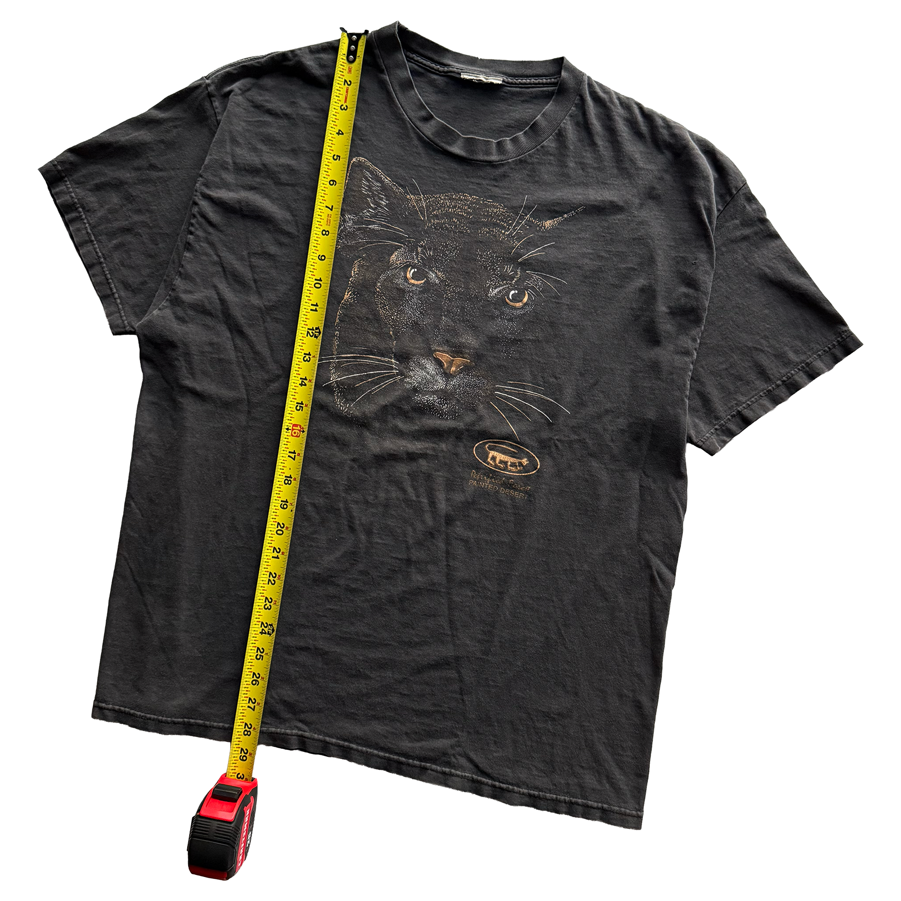 Vintage 1990s Petrified Forest National Park Mountain Lion Tee