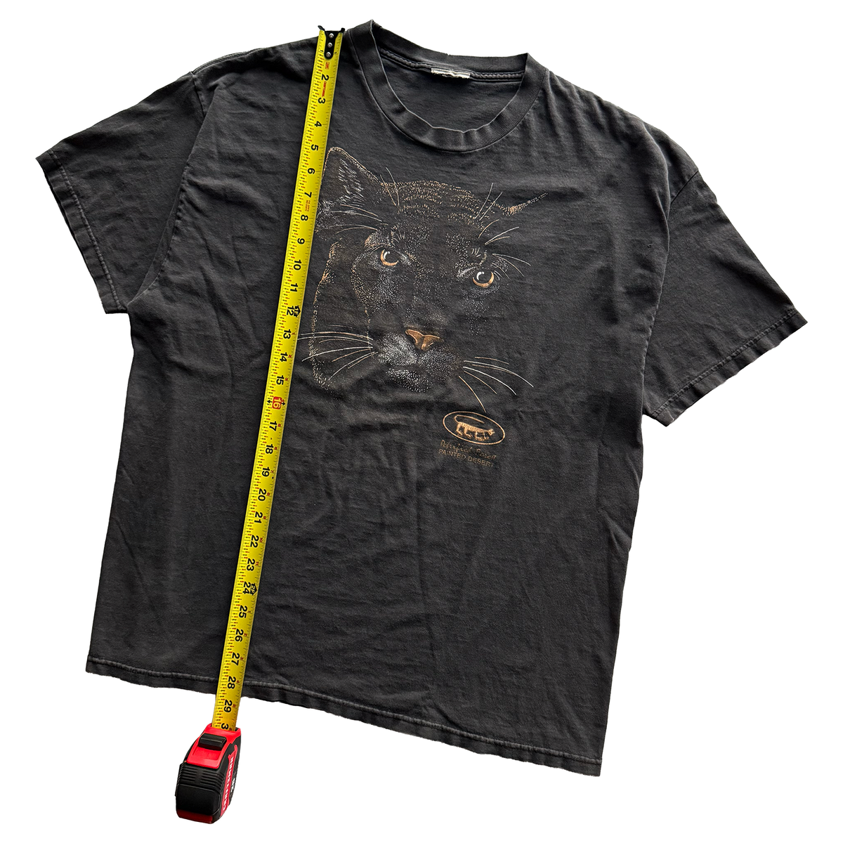 Vintage 1990s Petrified Forest National Park Mountain Lion Tee