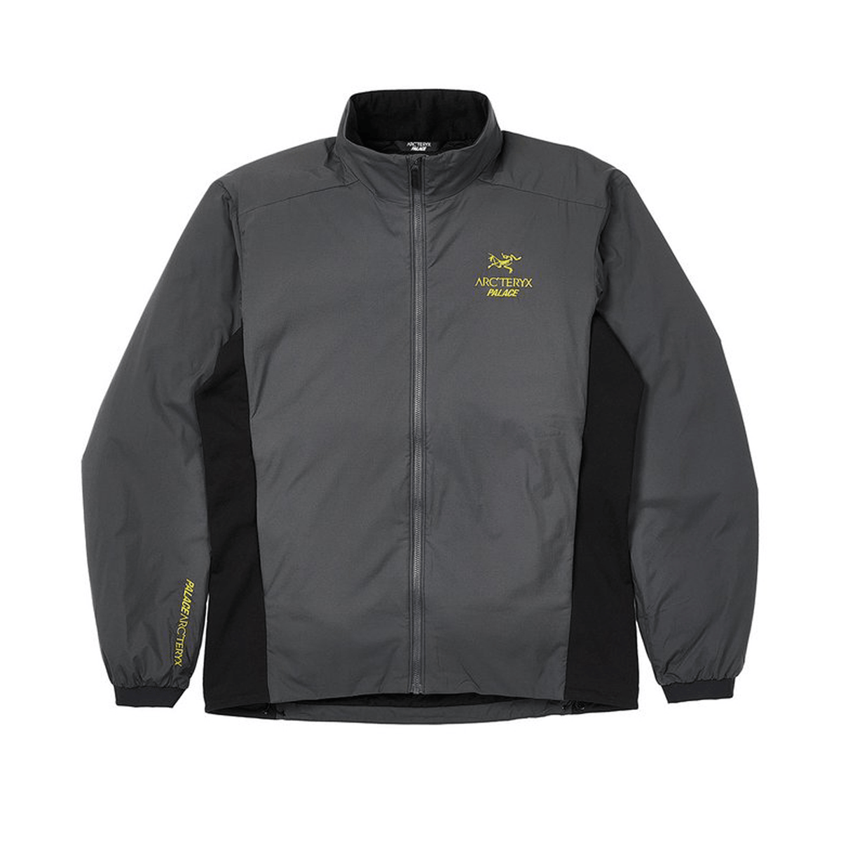 Arc'teryx × Palace x LT Jacket