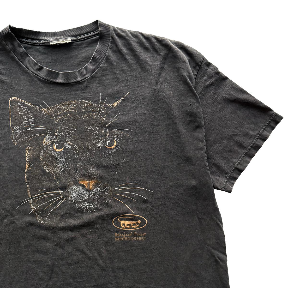 Vintage 1990s Petrified Forest National Park Mountain Lion Tee