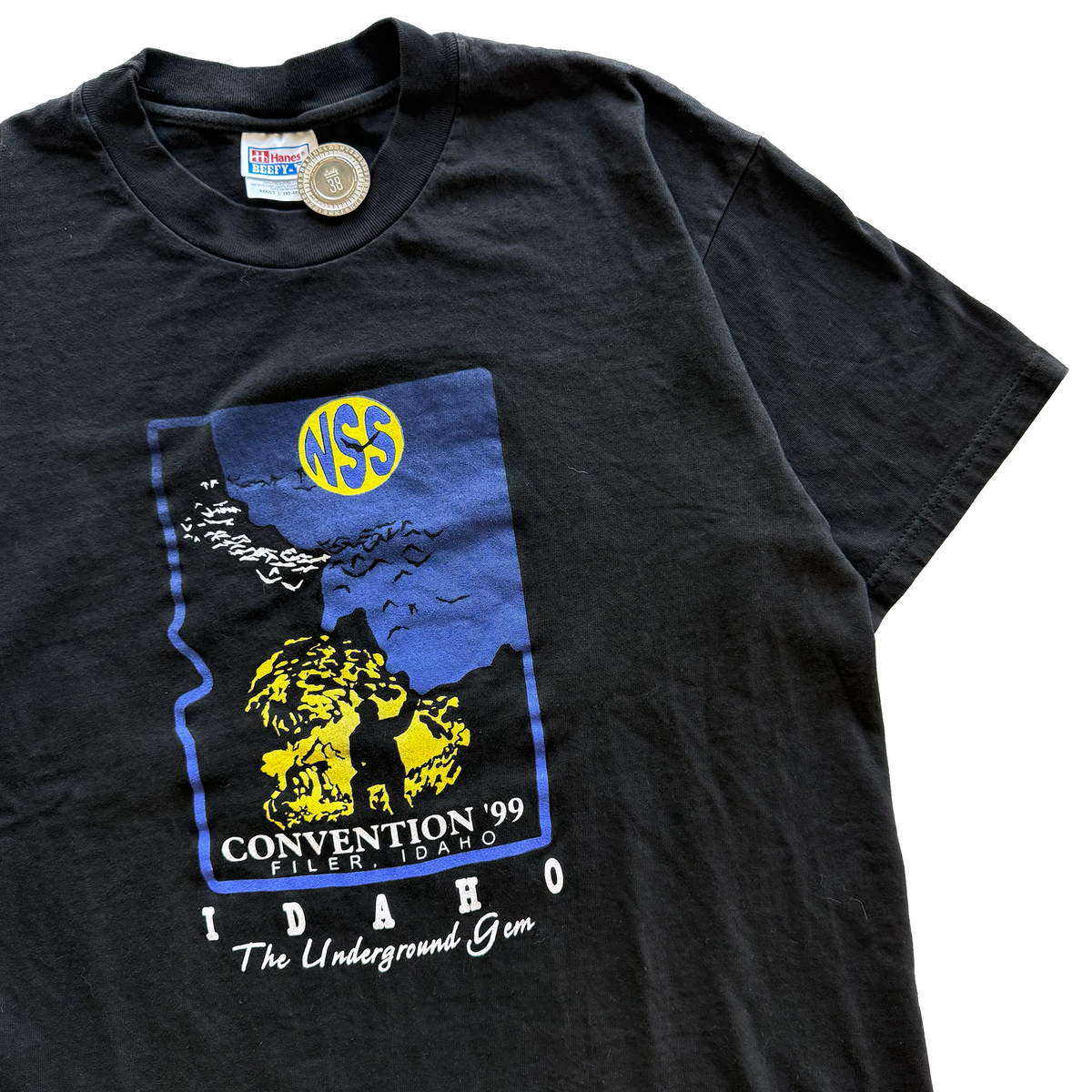 Vintage 1999 National Speleological Society Caves Tee