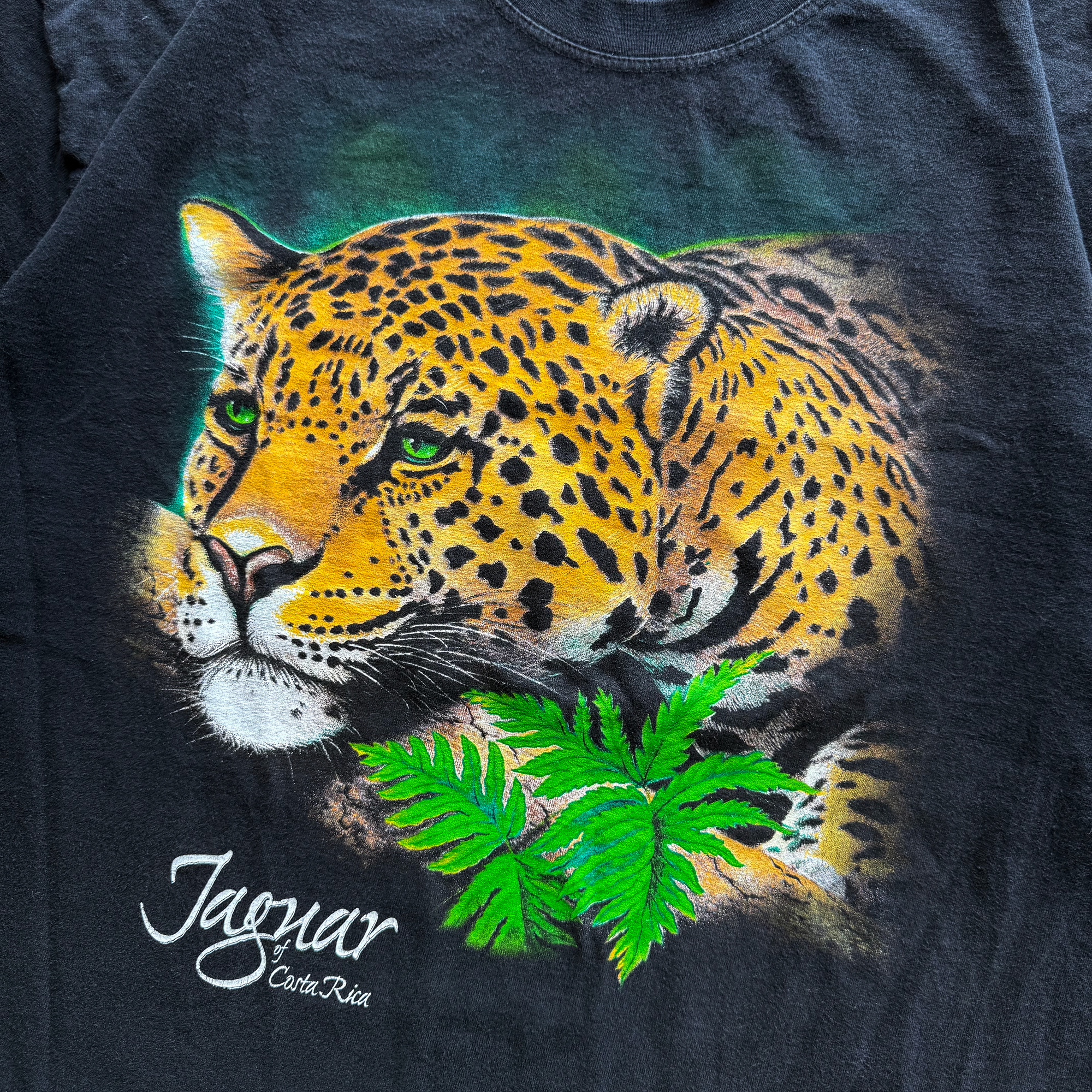 Vintage 2003 Jaguar of Costa Rica Tee