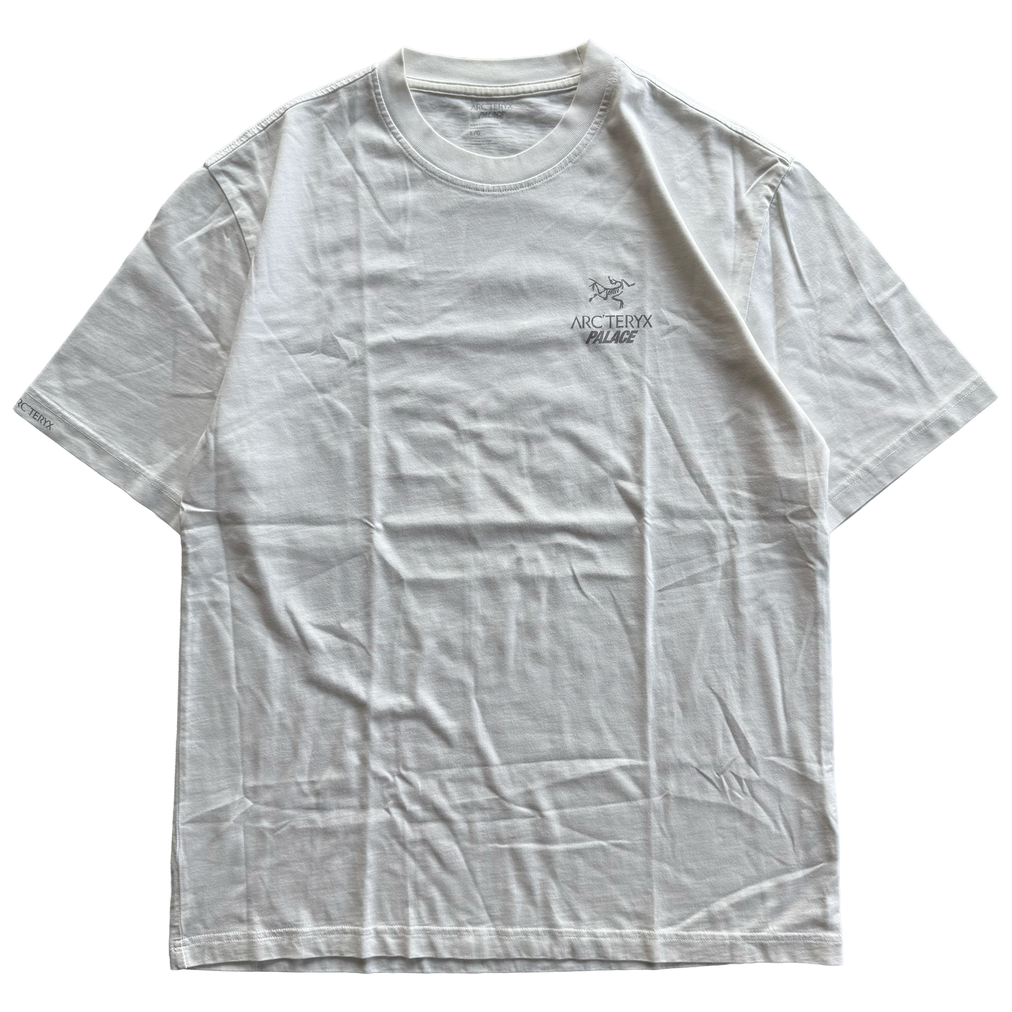 Palace x Arcteryx FW20 Tri Ferg Tee