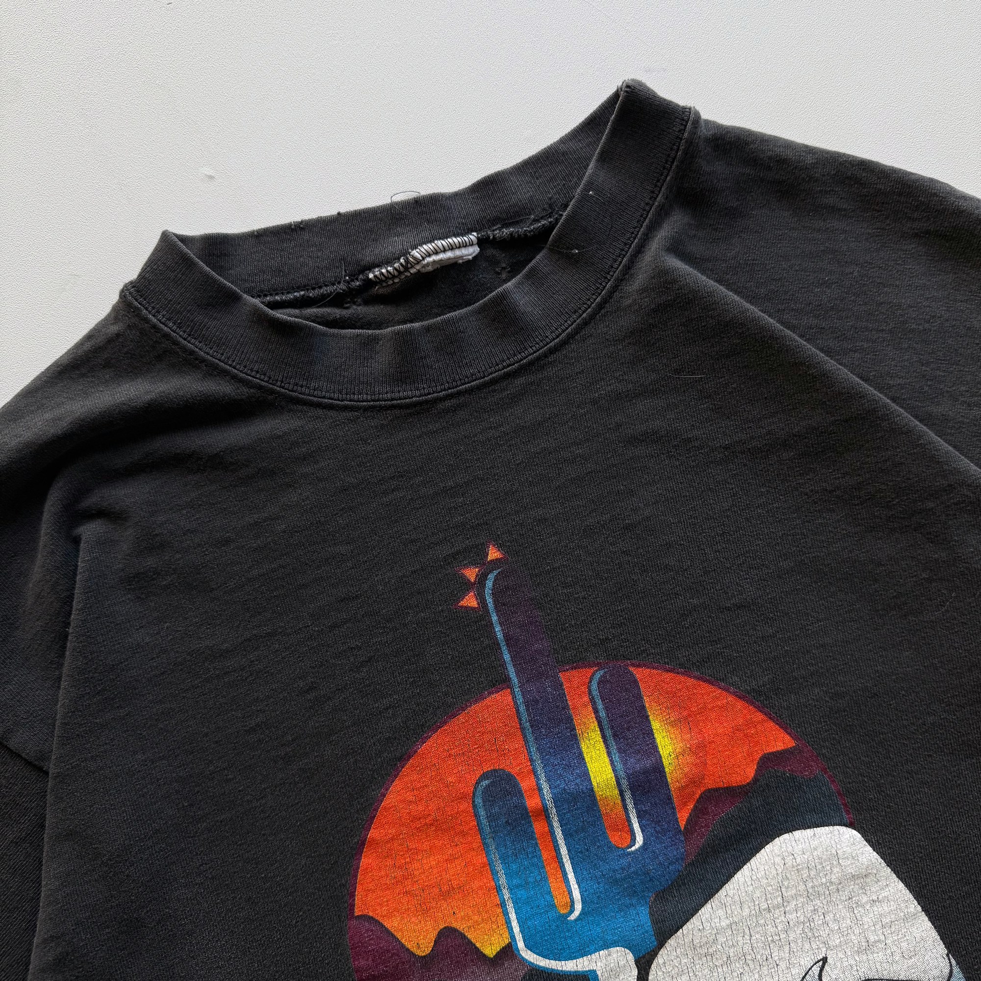 Vintage 1994 Vintage Auto Body Express Buffalo Cactus Tee