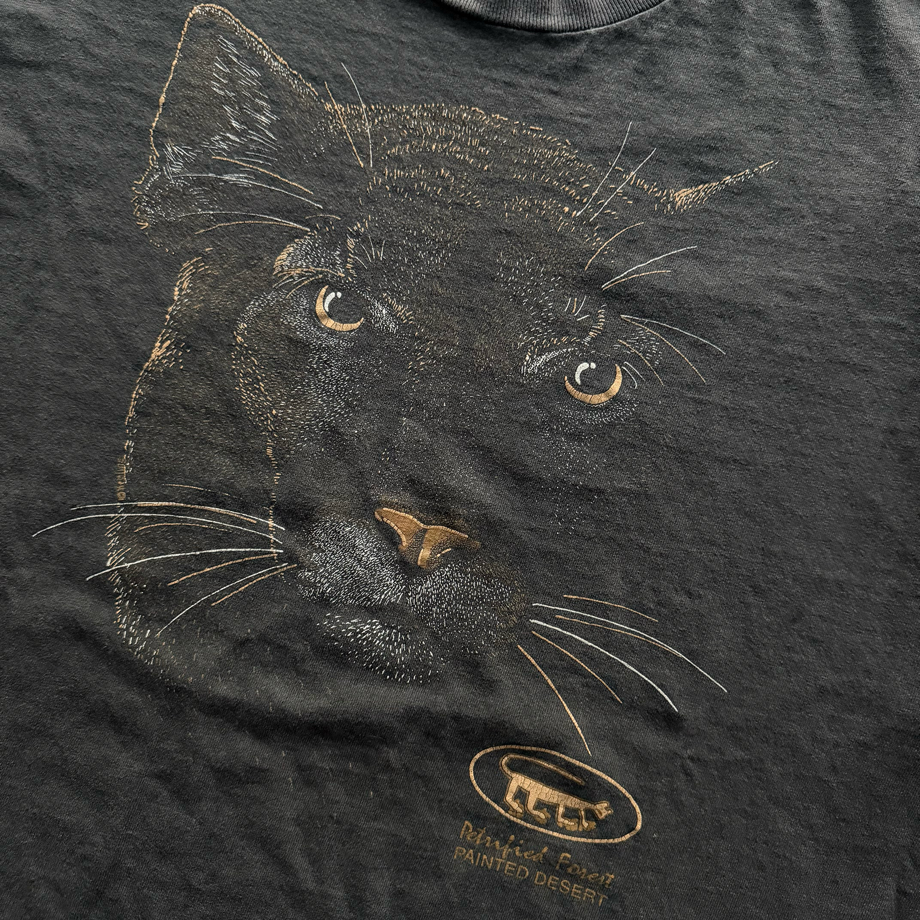 Vintage 1990s Petrified Forest National Park Mountain Lion Tee