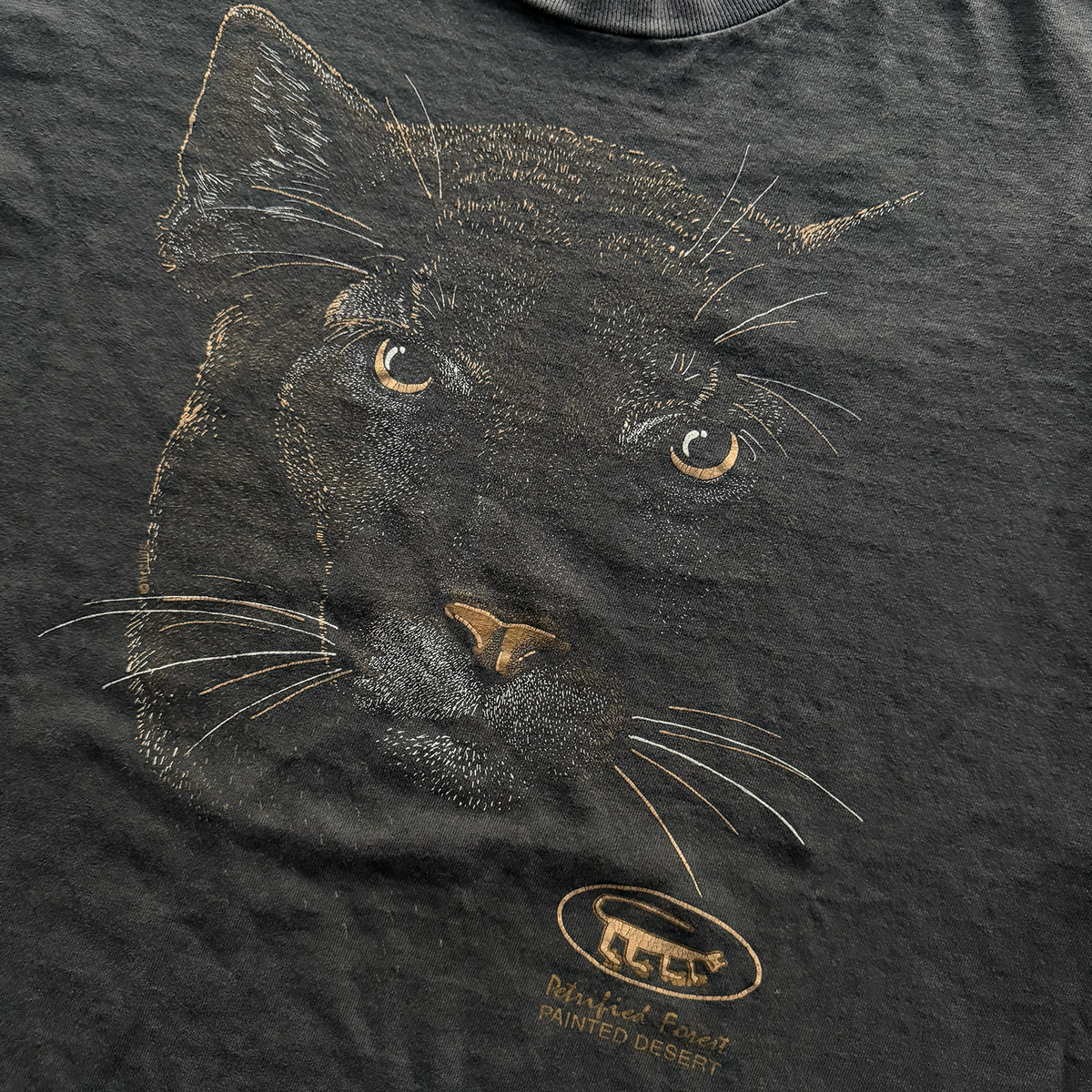 Vintage 1990s Petrified Forest National Park Mountain Lion Tee