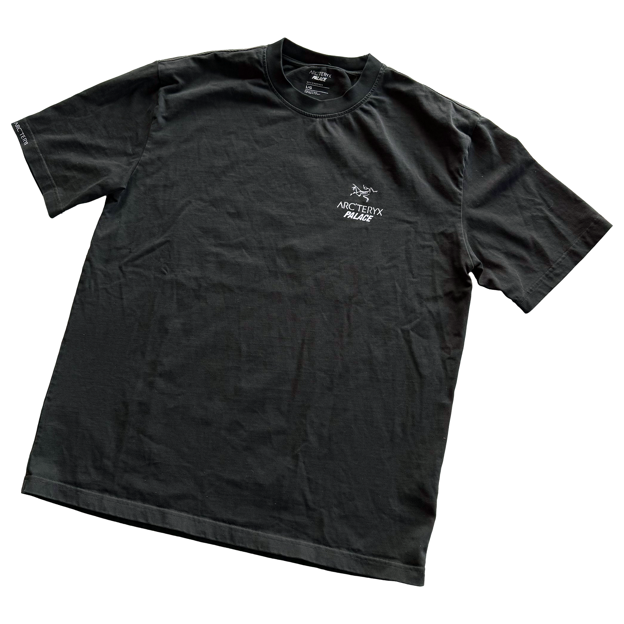 Palace x Arcteryx FW20 Tri Ferg Tee