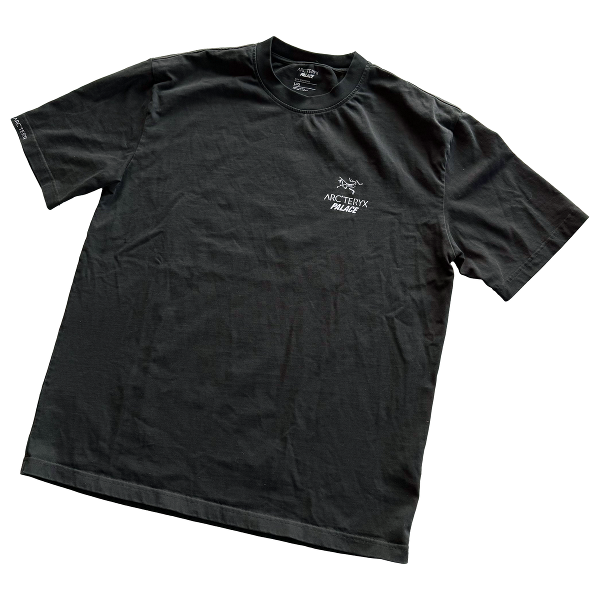 Palace x Arcteryx FW20 Tri Ferg Tee