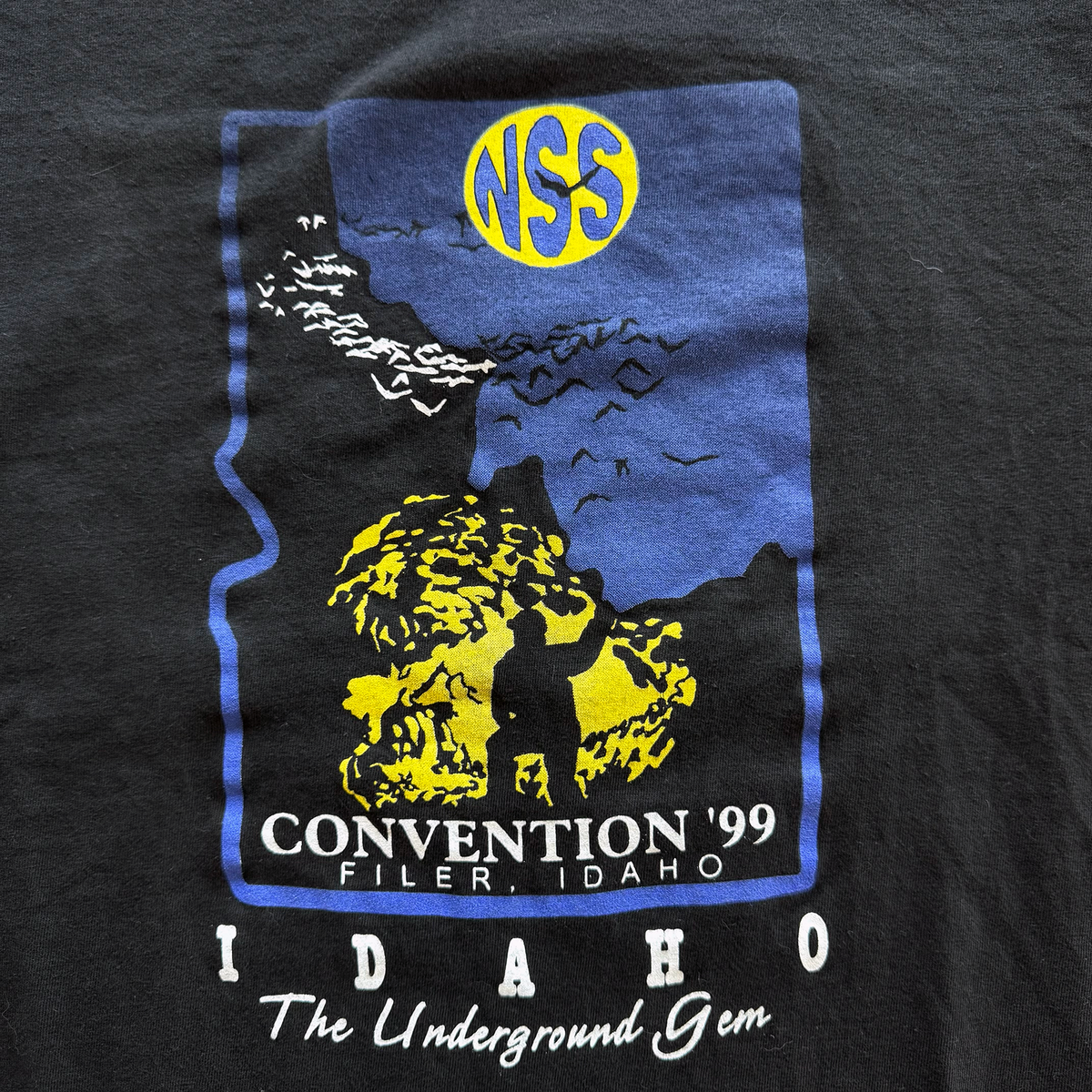 Vintage 1999 National Speleological Society Caves Tee