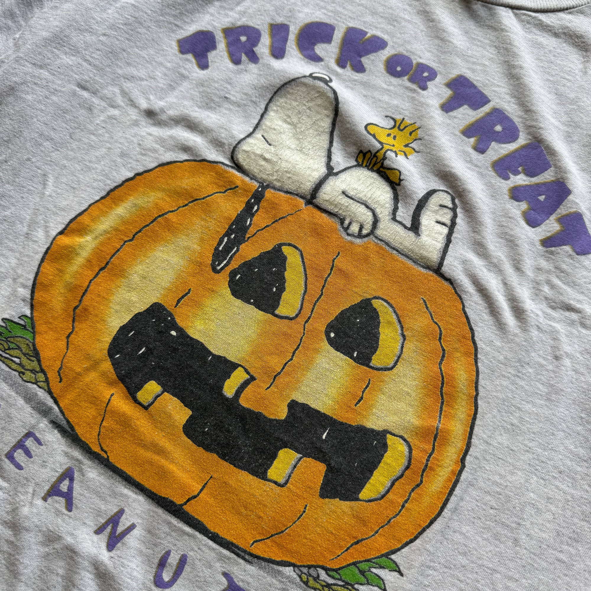 Vintage 1995 Snoopy Halloween Tee