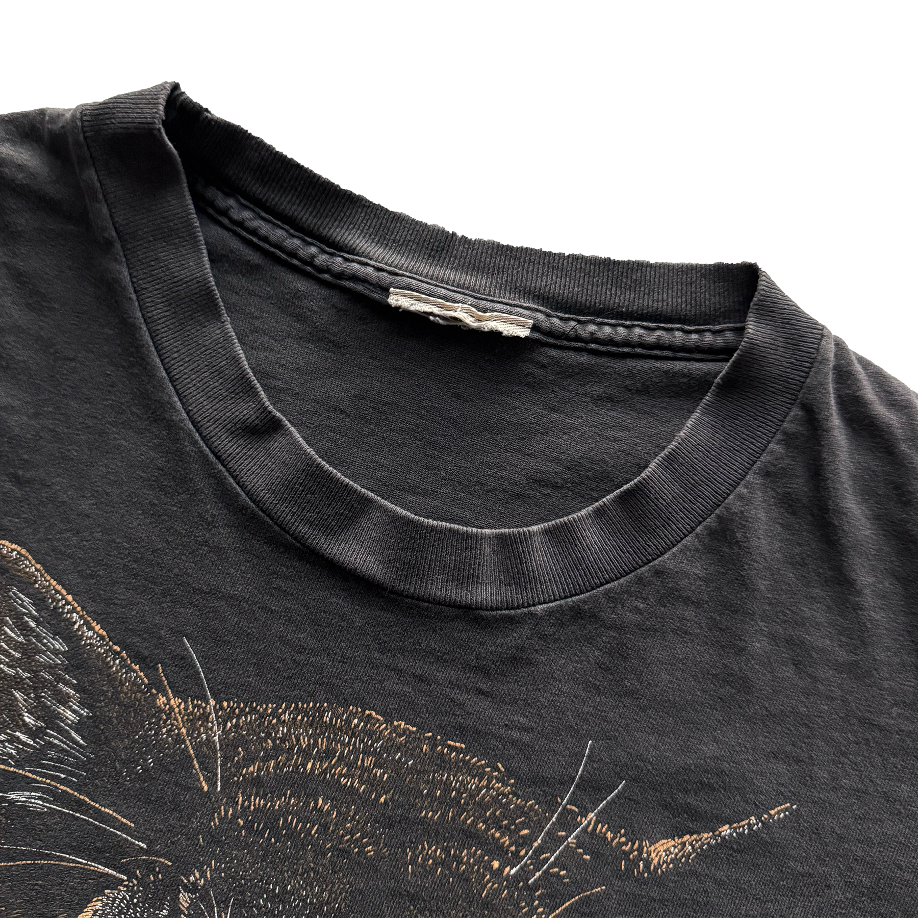 Vintage 1990s Petrified Forest National Park Mountain Lion Tee