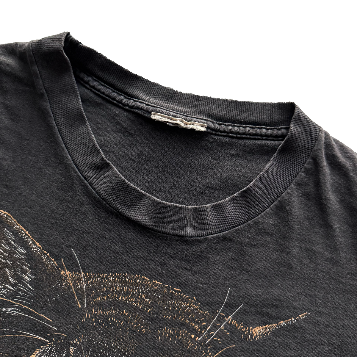 Vintage 1990s Petrified Forest National Park Mountain Lion Tee