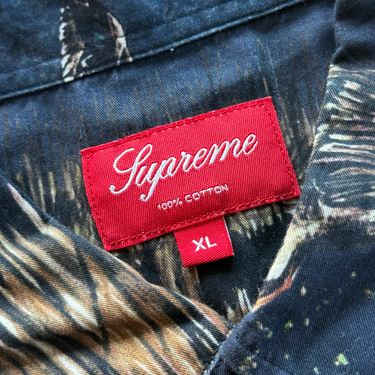 Supreme FW12 Dogs Ducks Button Up Shirt