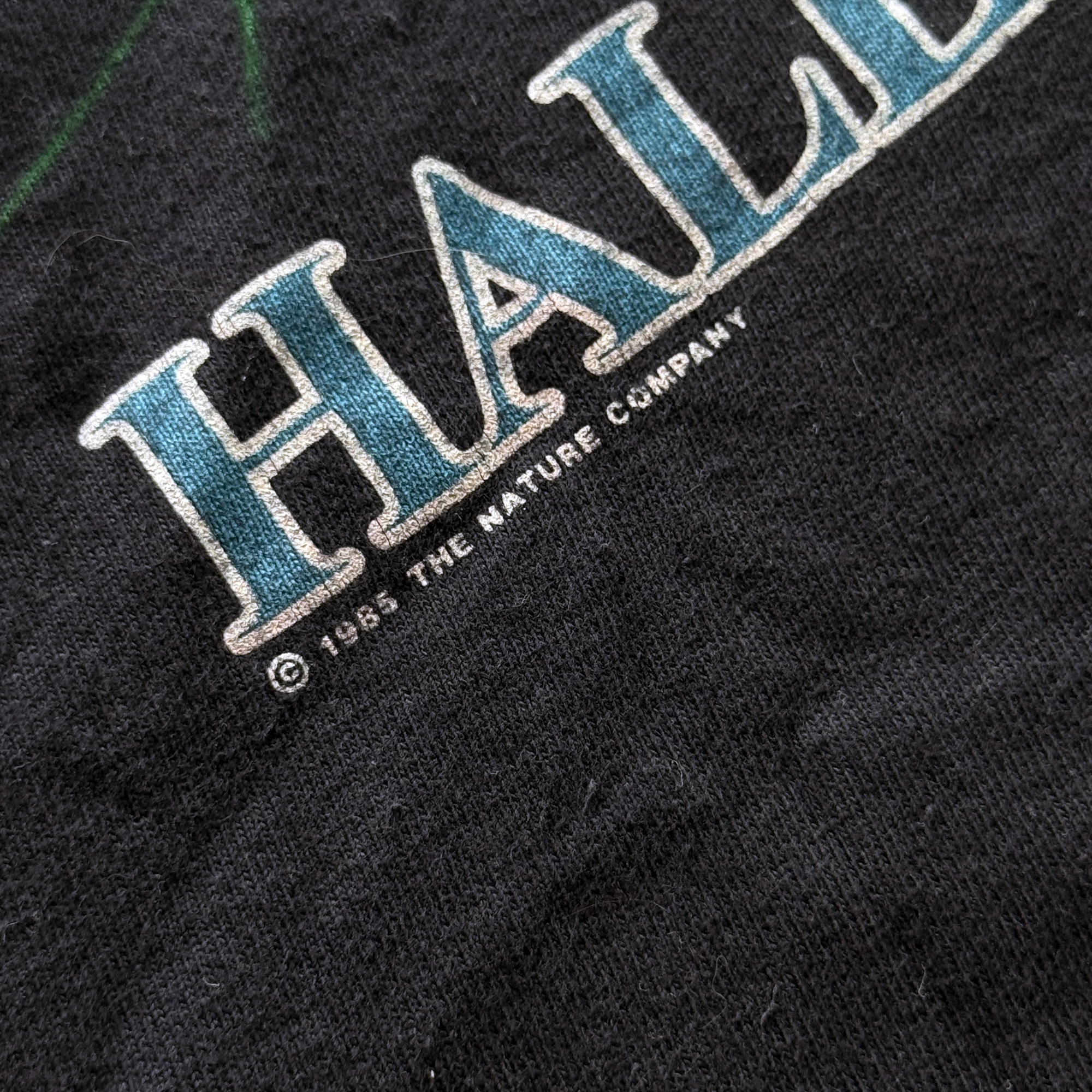 Vintage 1985 Vintage Halley's Comet Tee