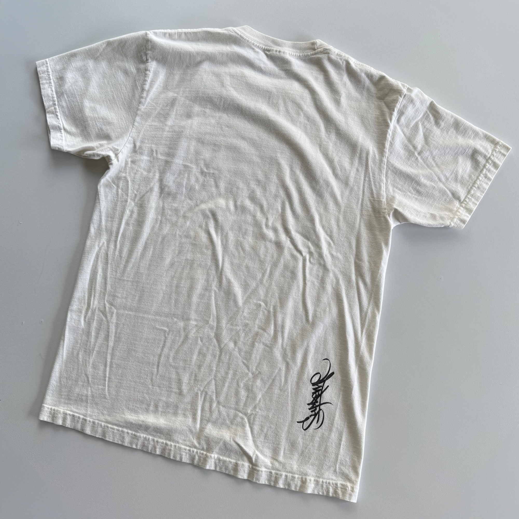 Supreme SS14 Anarchy Tee
