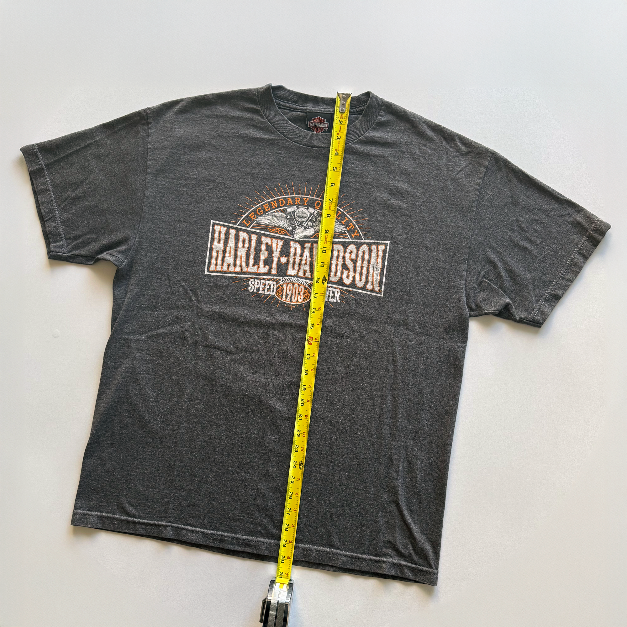 Vintage Harley Davidson 2015 Angel Wings Tee