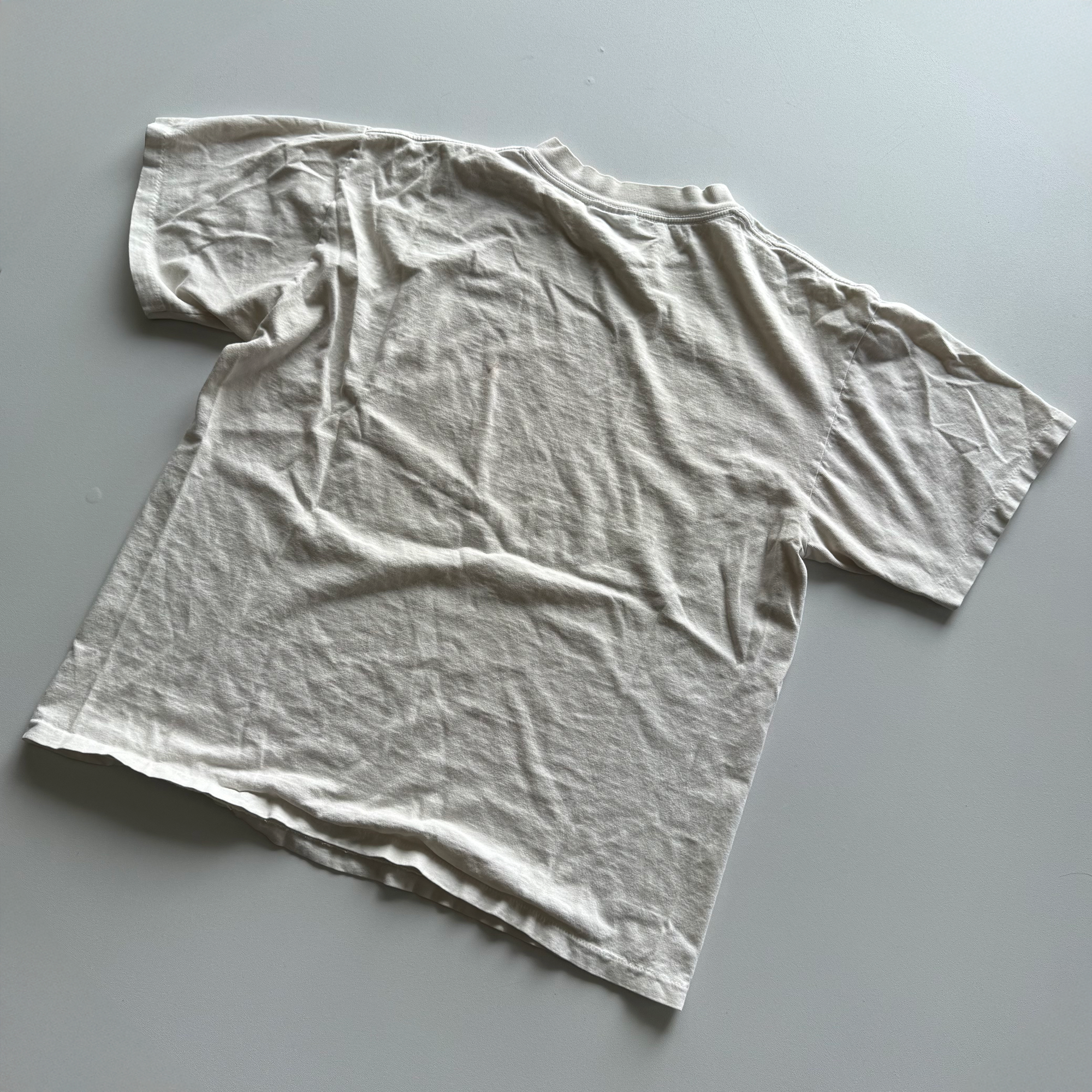 Vintage 1993 "Race Against Time" Earth Day Climate Change Tee