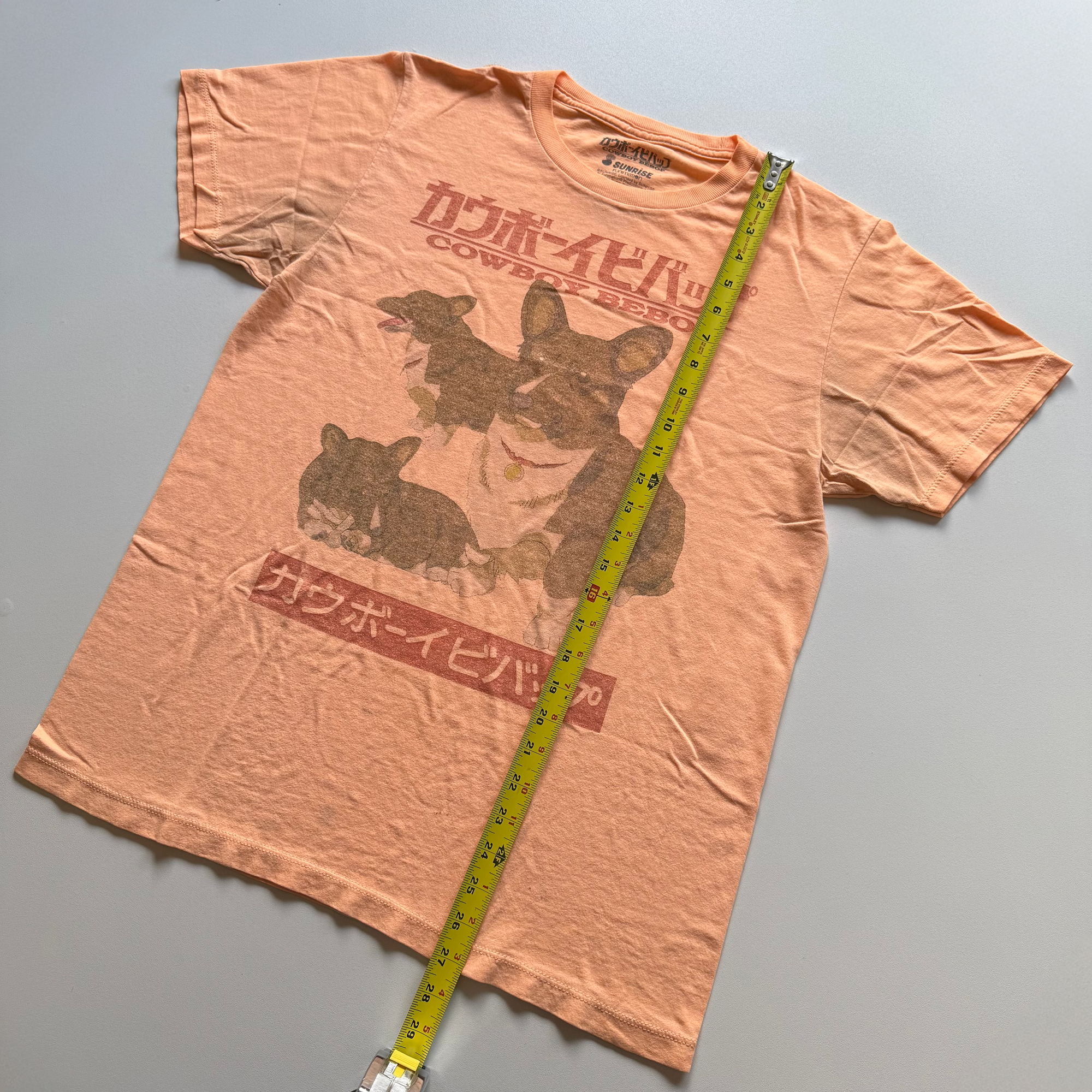 Vintage 2010s Cowboy Bebop Ein Corgi Sunrise Funimation Tee (Medium)