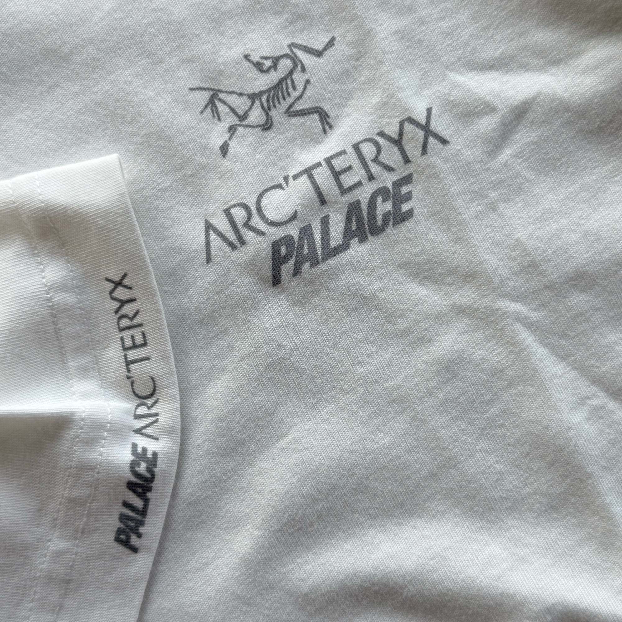 Palace x Arcteryx FW20 Tri Ferg Tee