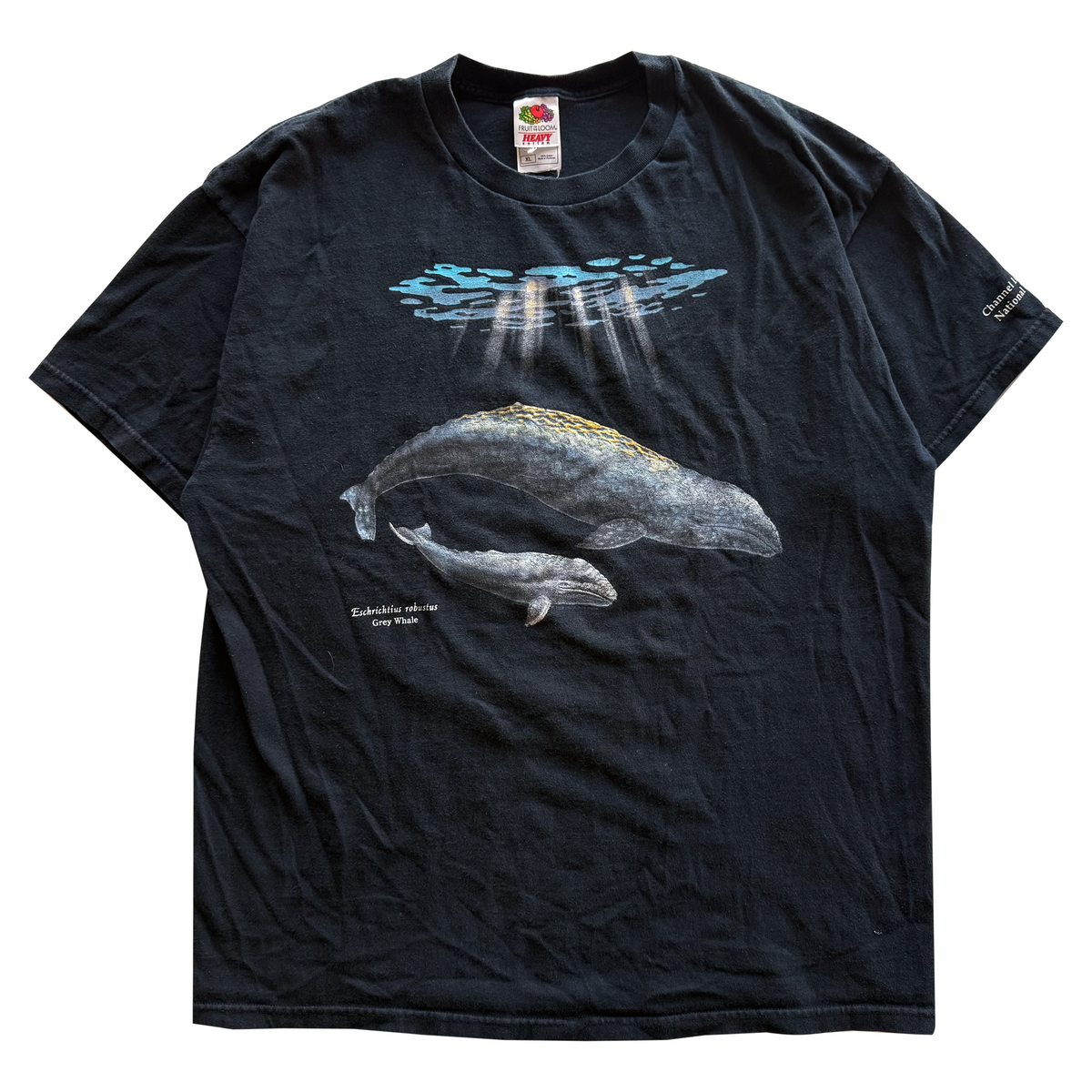 Vintage 2001 Grey Whale Tee
