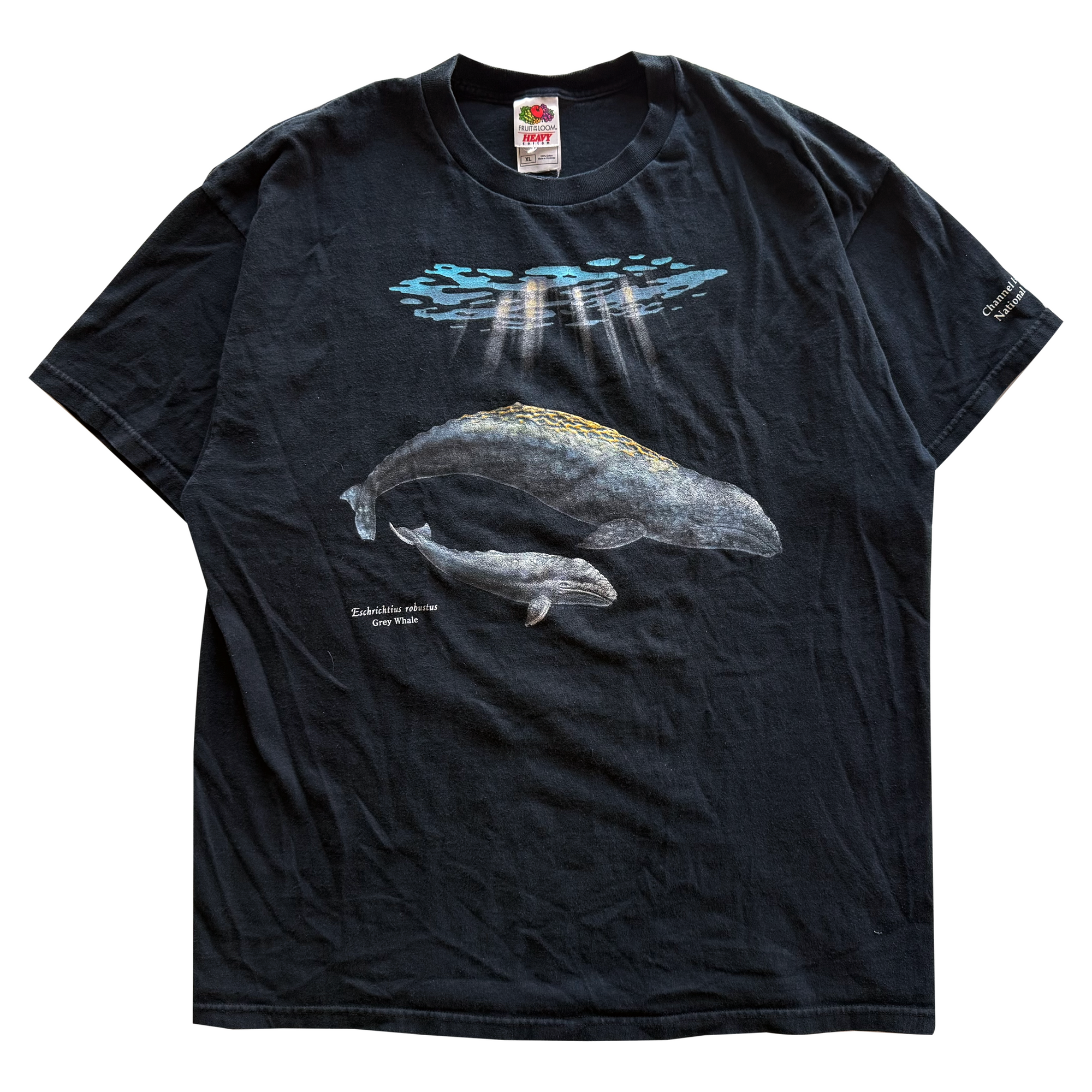 Vintage 2001 Grey Whale Tee