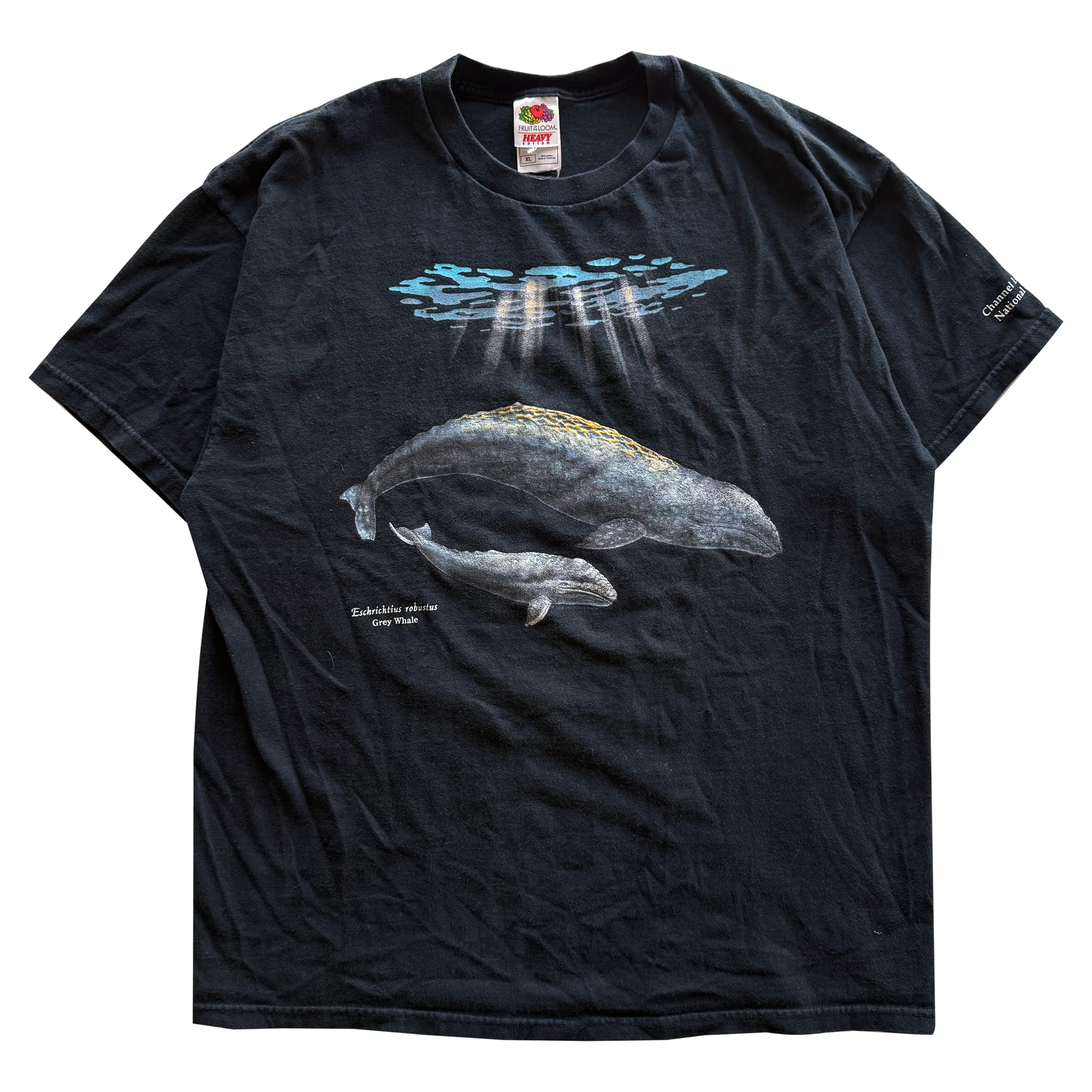 Vintage 2001 Grey Whale Tee