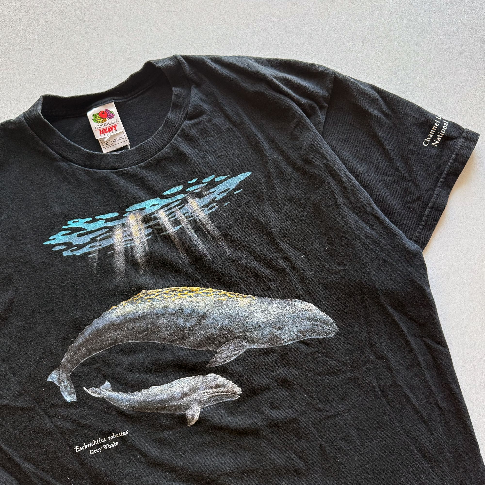 Vintage 2001 Grey Whale Tee