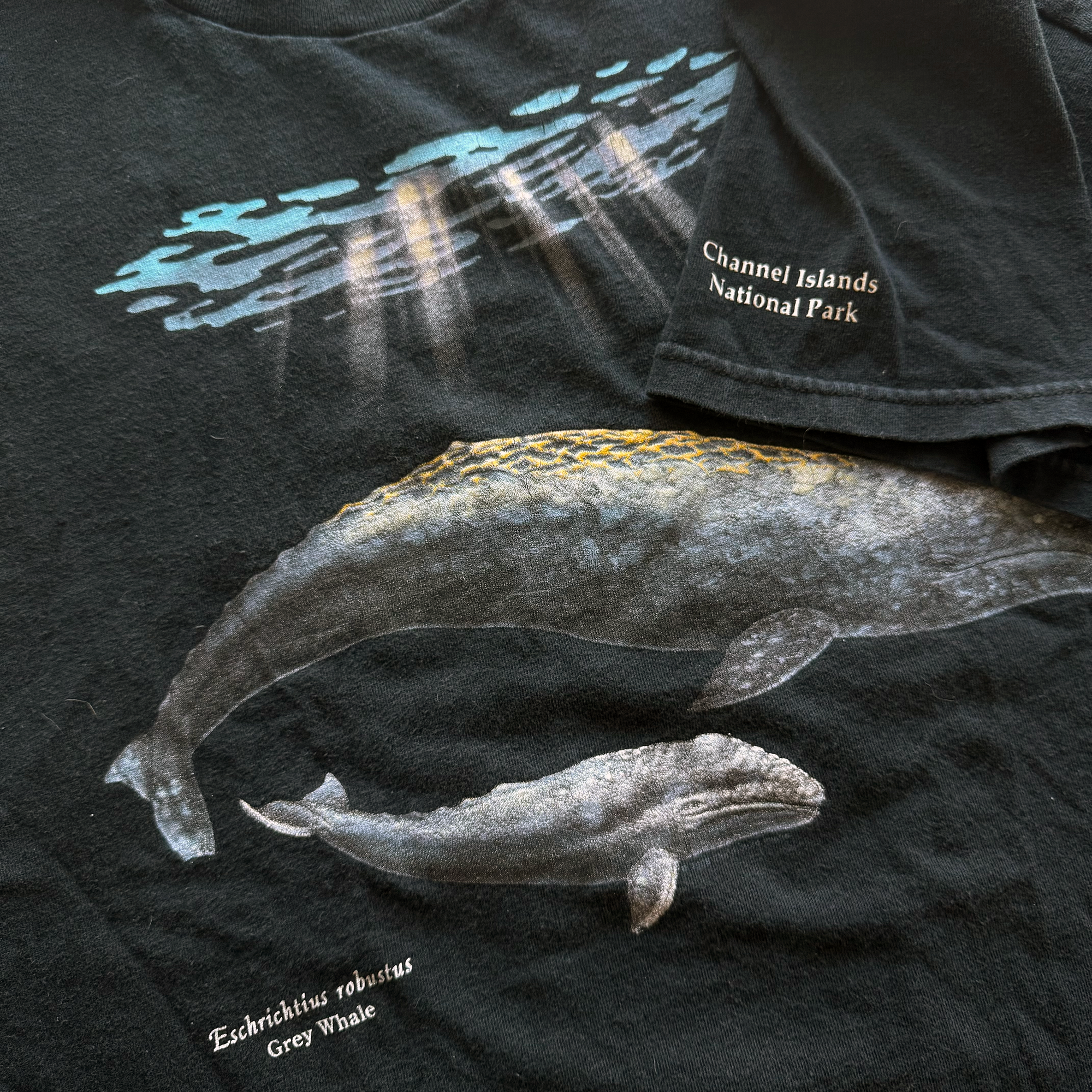 Vintage 2001 Grey Whale Tee