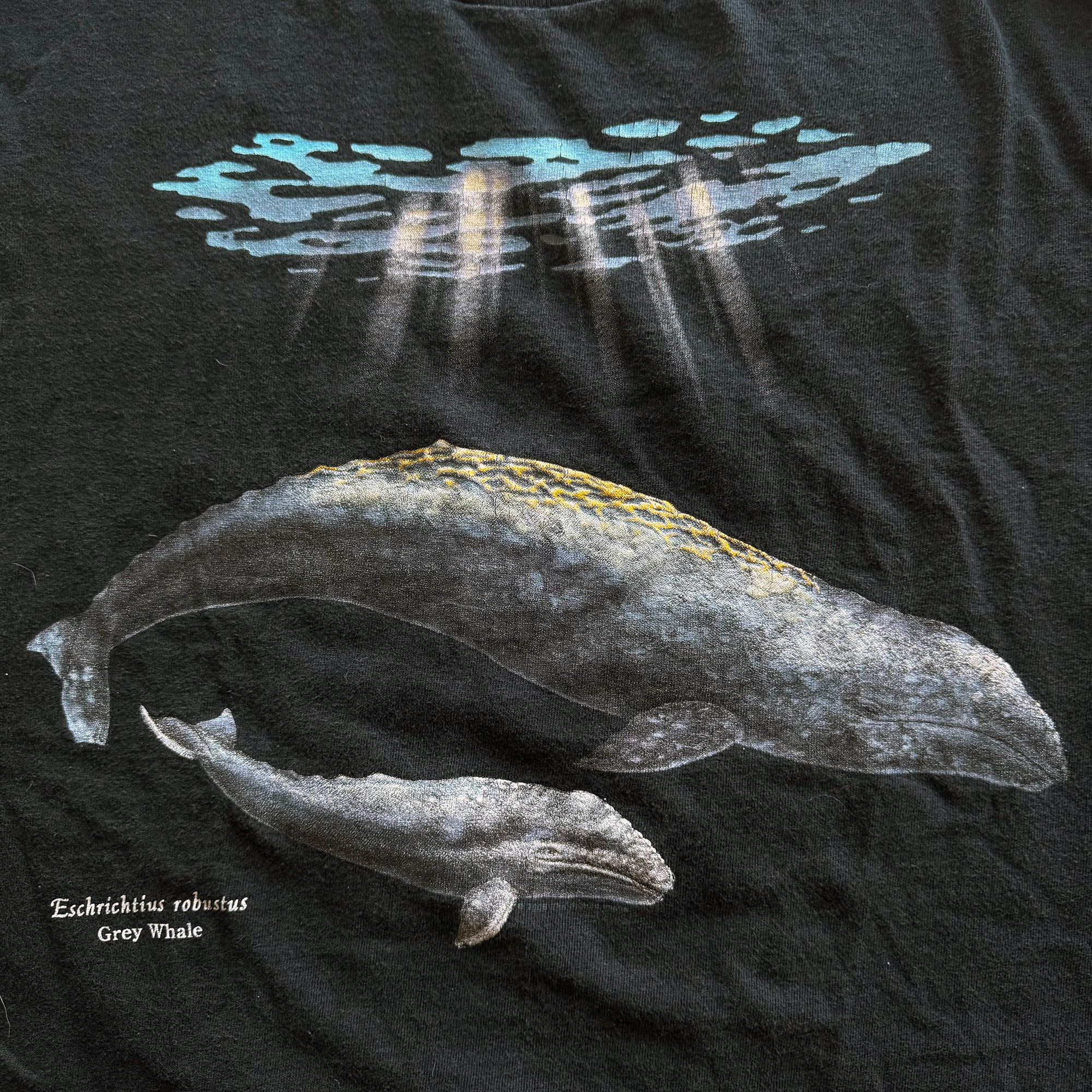Vintage 2001 Grey Whale Tee