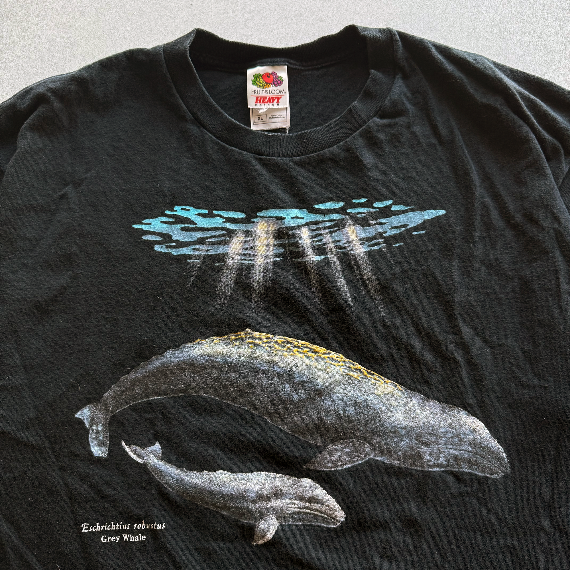 Vintage 2001 Grey Whale Tee