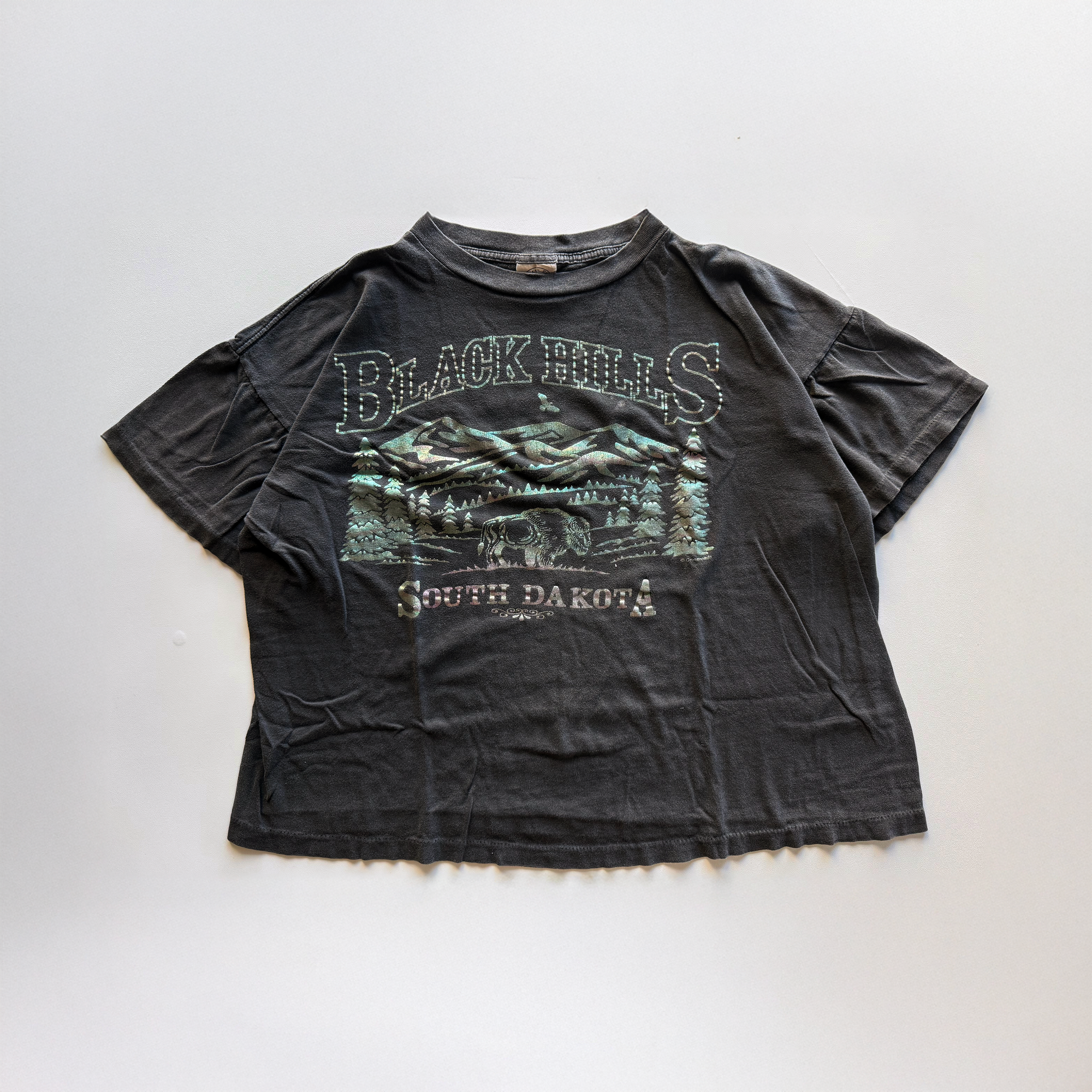 Vintage 1990s Black Hills Tee