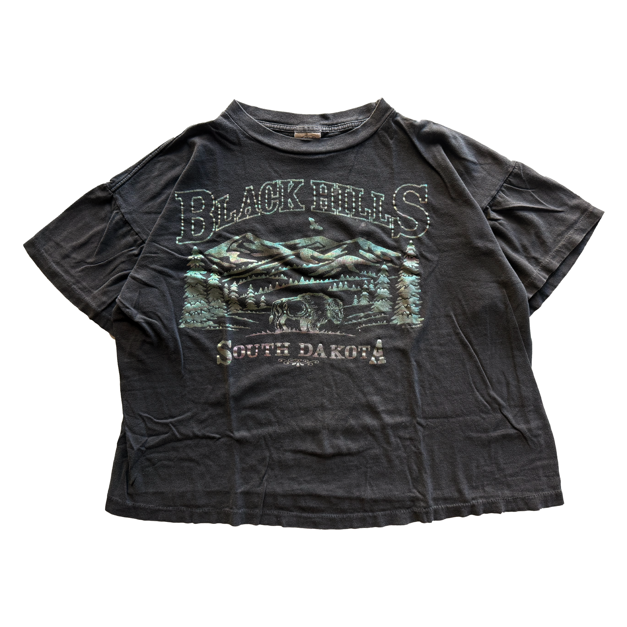 Vintage 1990s Black Hills Tee