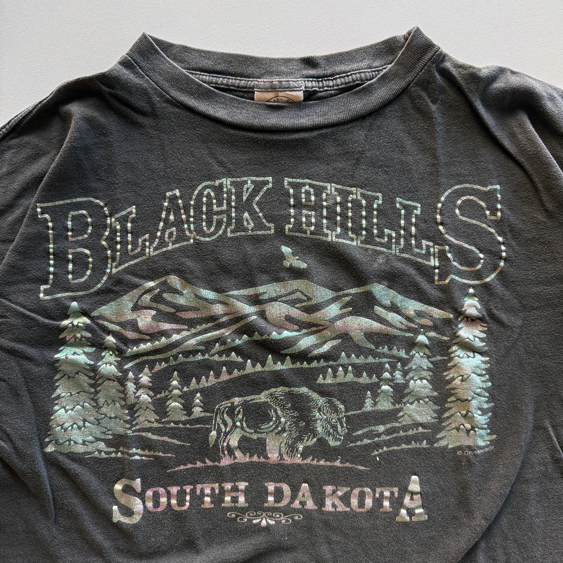 Vintage 1990s Black Hills Tee