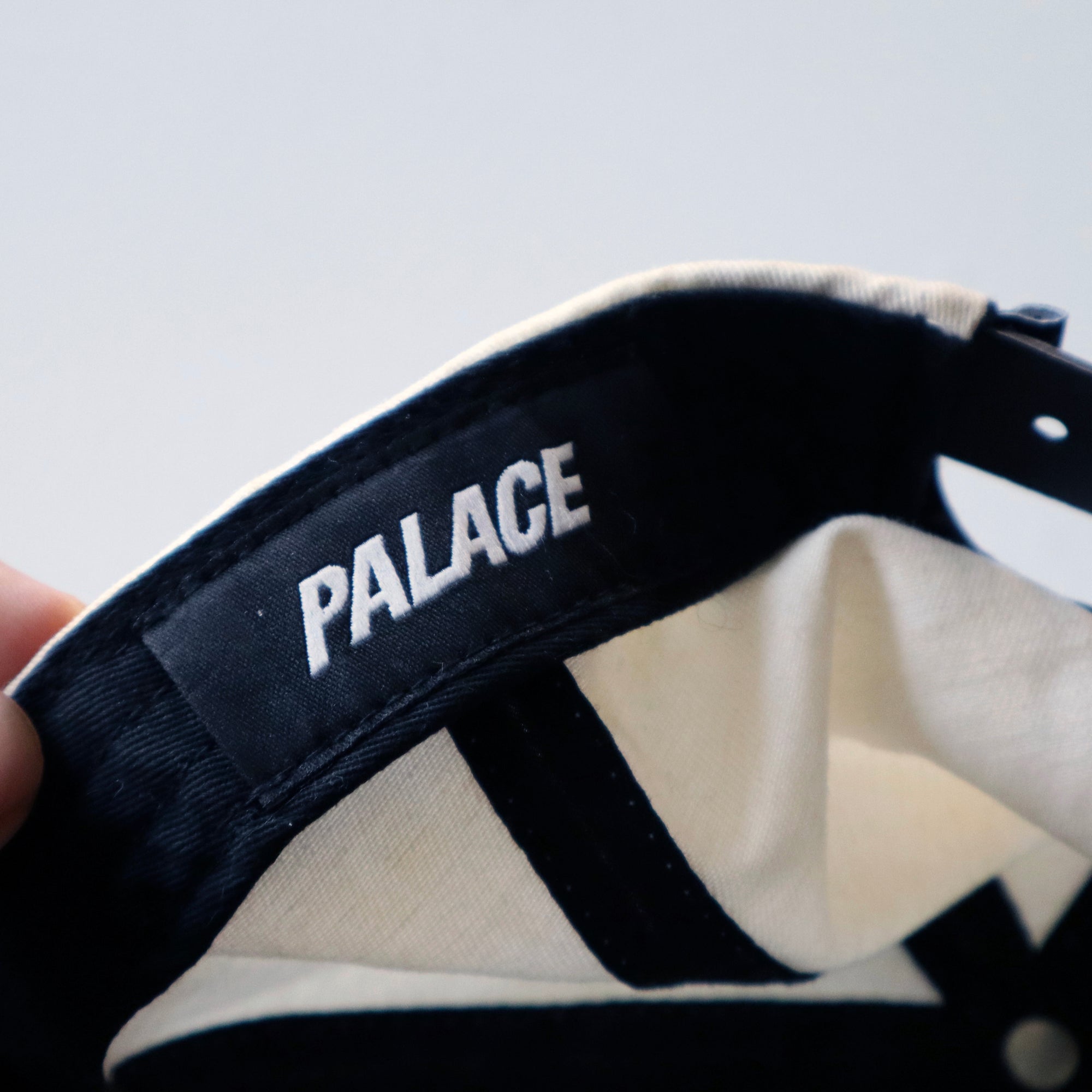 Palace FW17 Trailblazers 6 Panel Snapback Hat