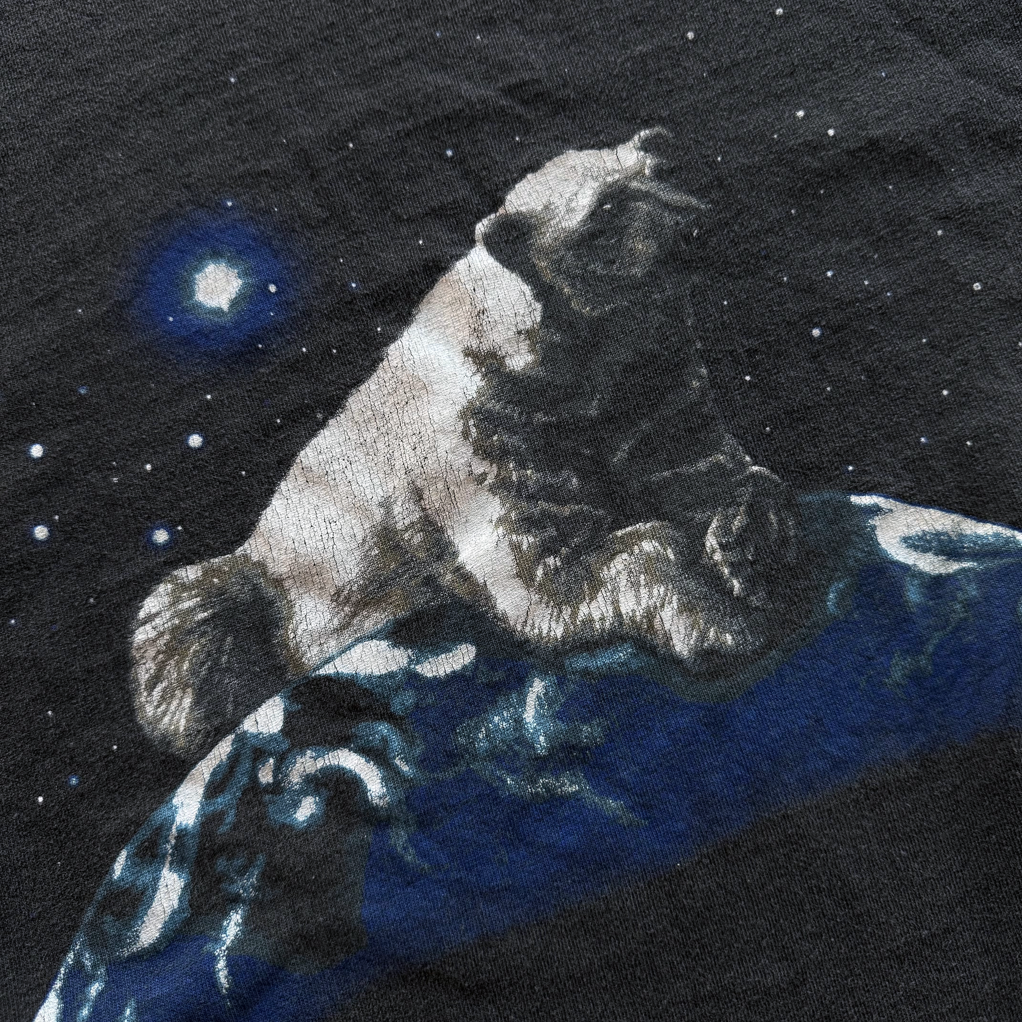 Vintage 2001 Alaska Polar Bear World Tee