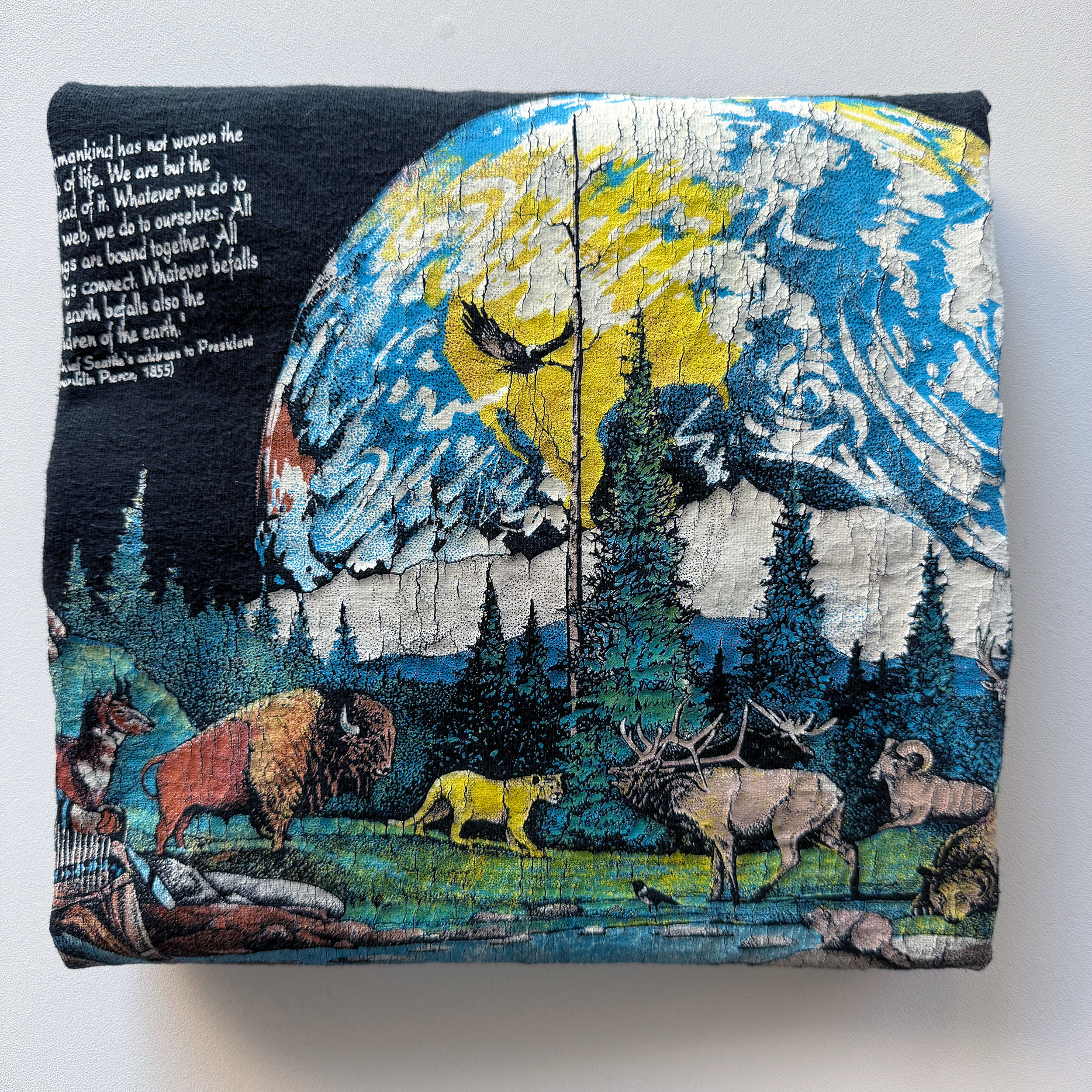 Vintage 1990s Earth Day Nature Tee