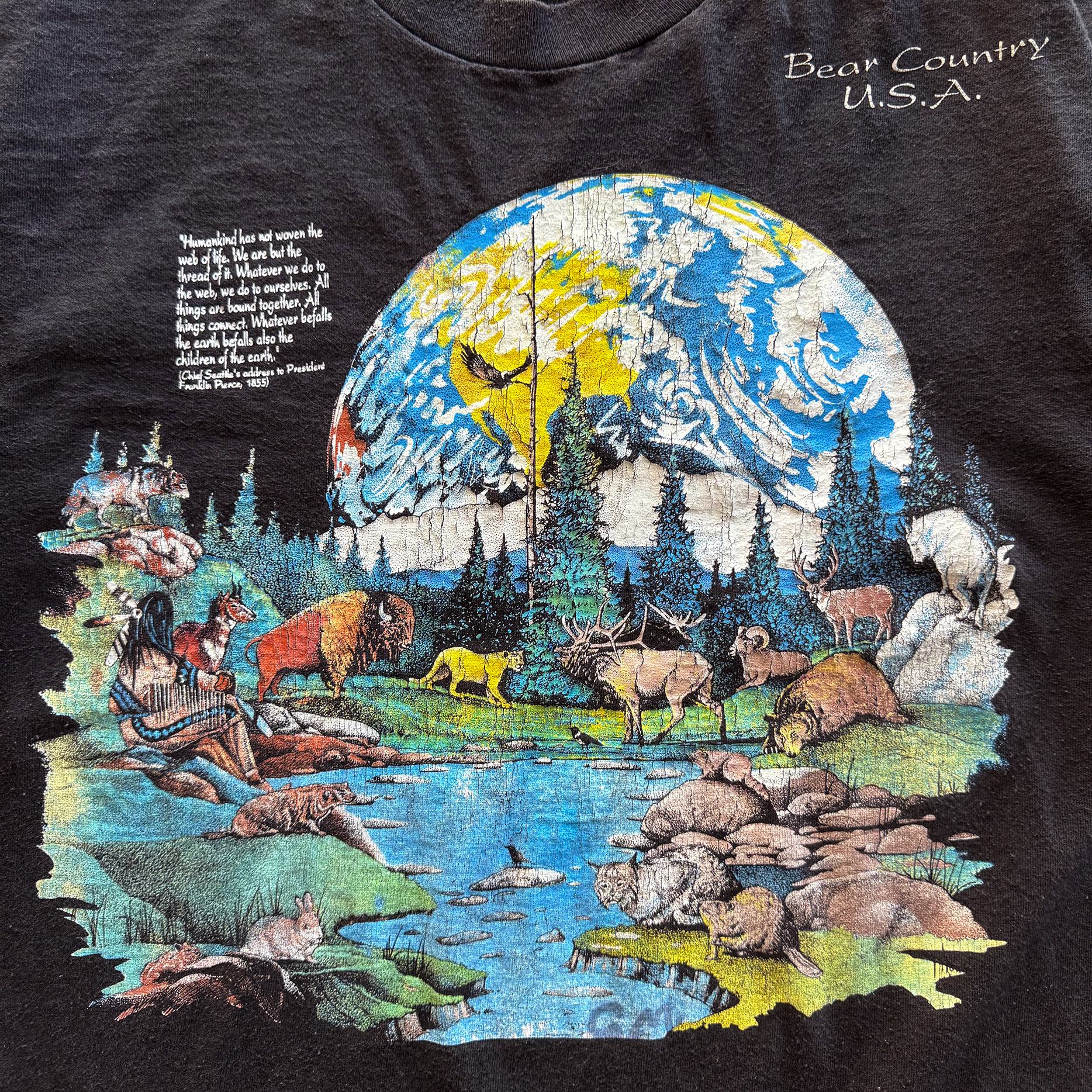 Vintage 1990s Earth Day Nature Tee