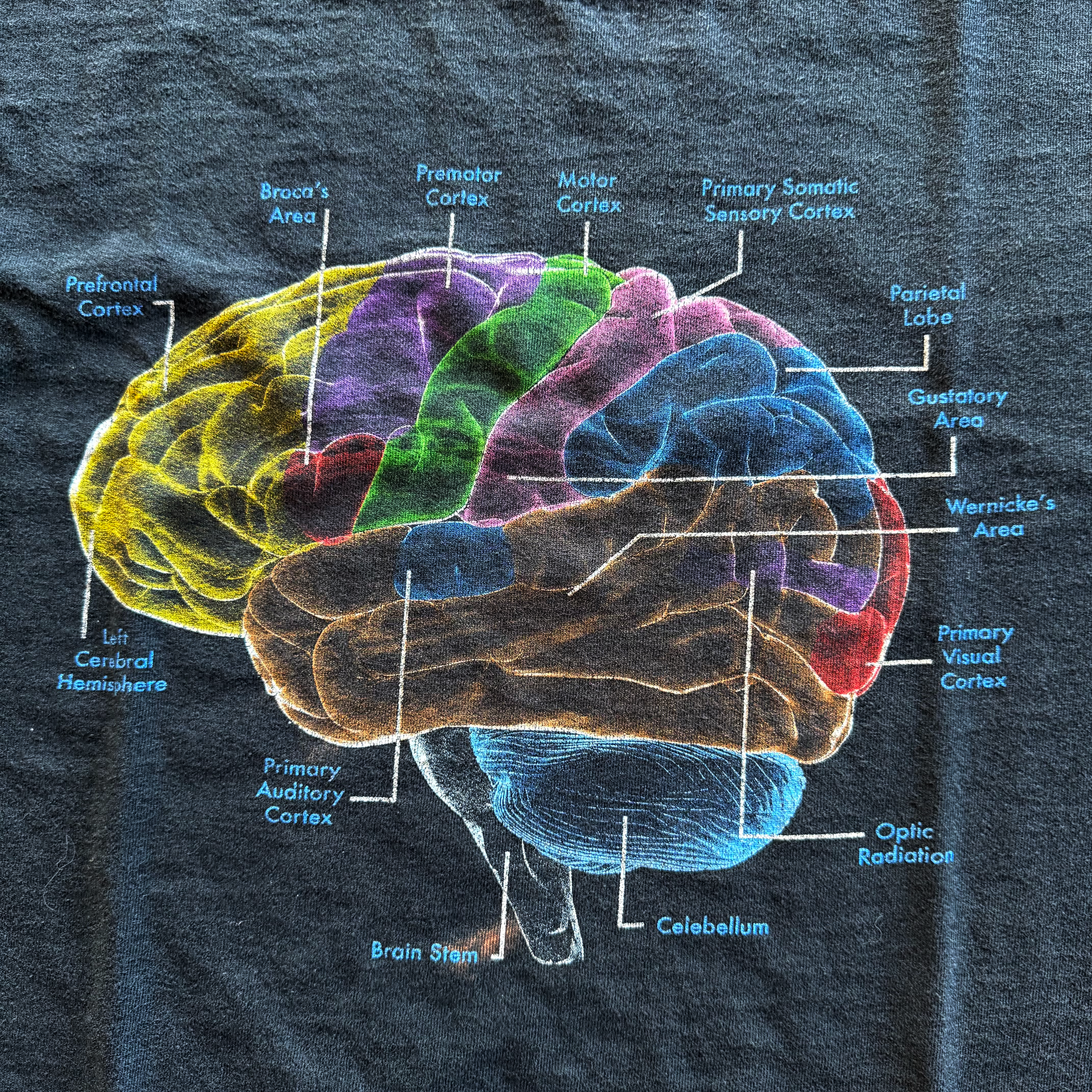 Vintage 2003 Brain Tee