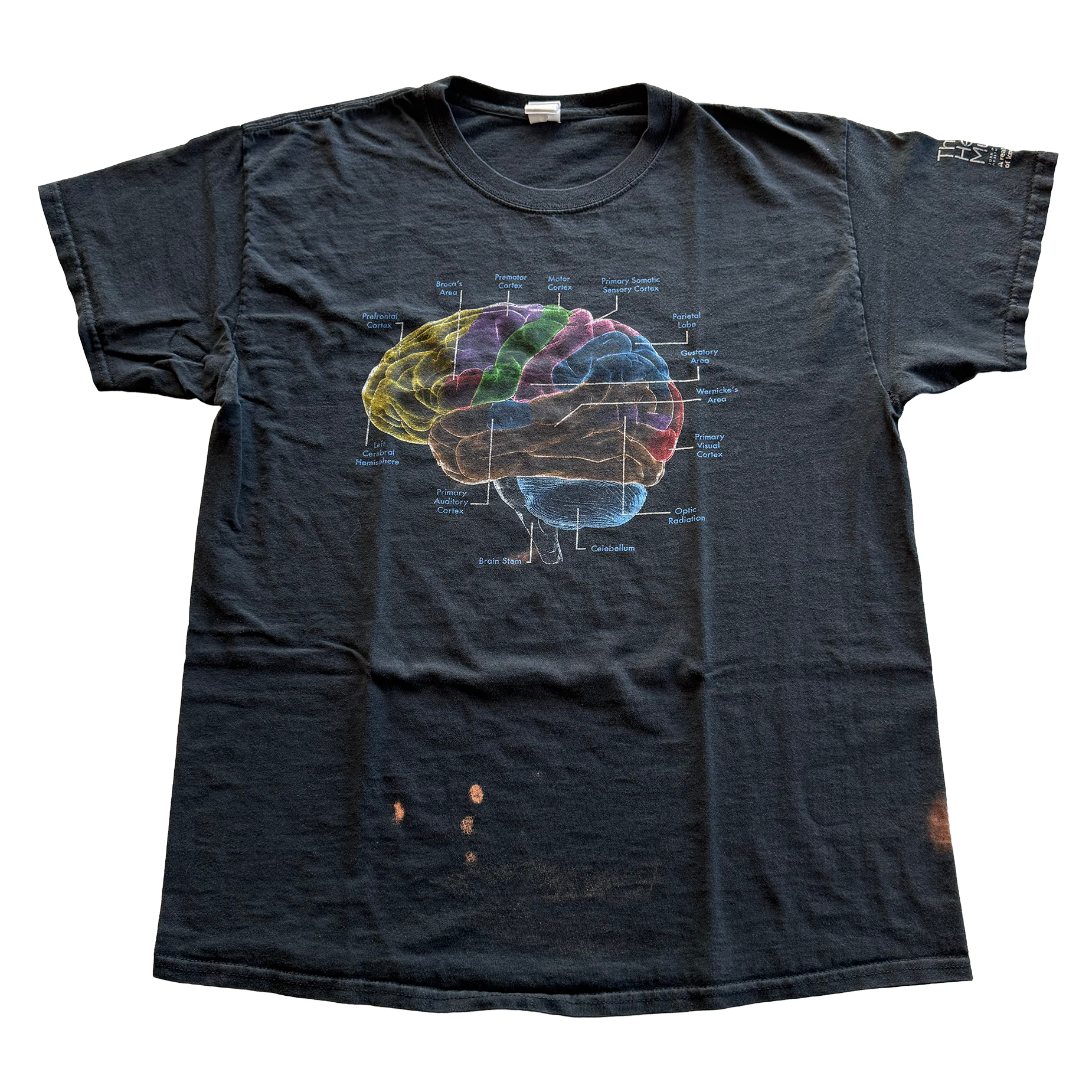 Vintage 2003 Brain Tee