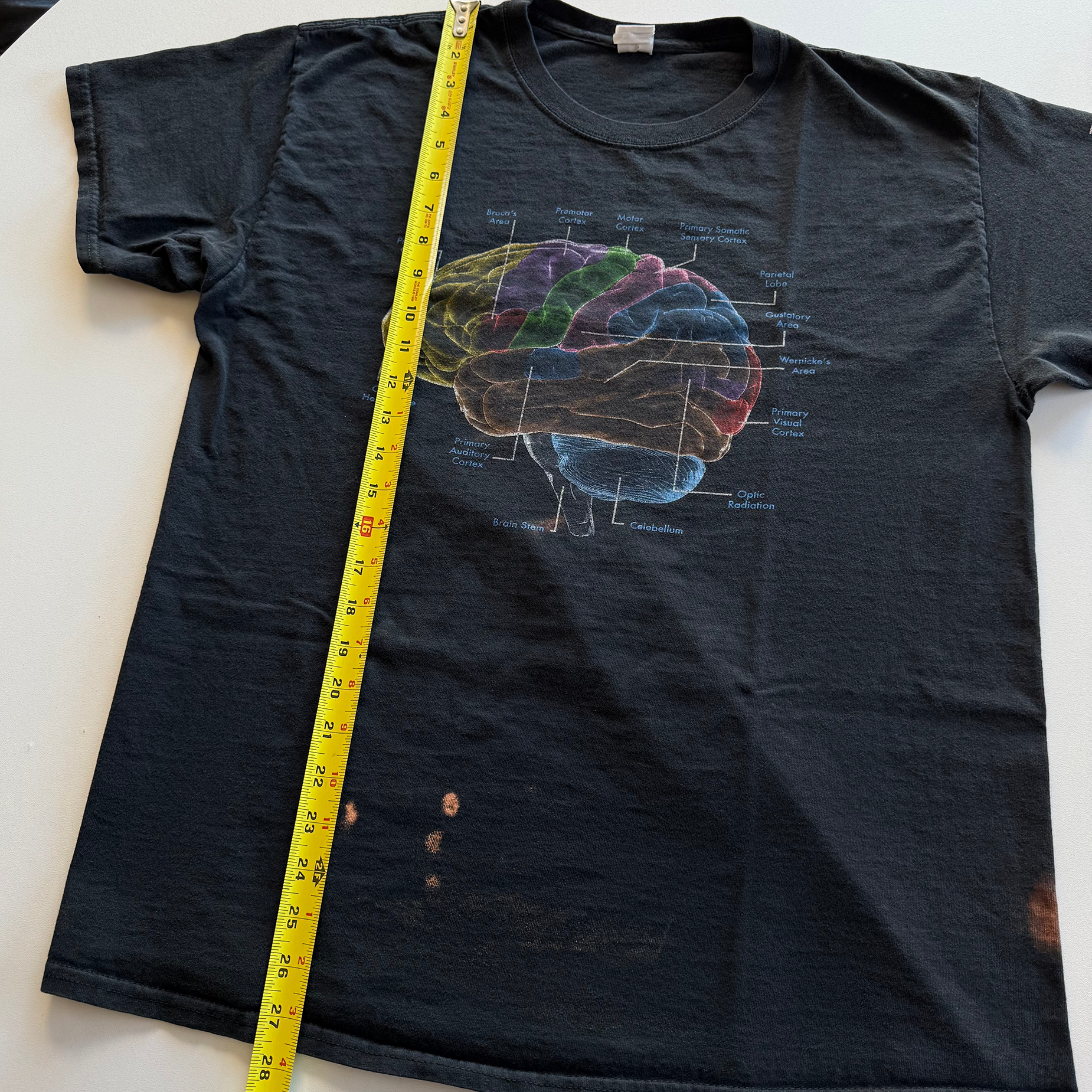 Vintage 2003 Brain Tee