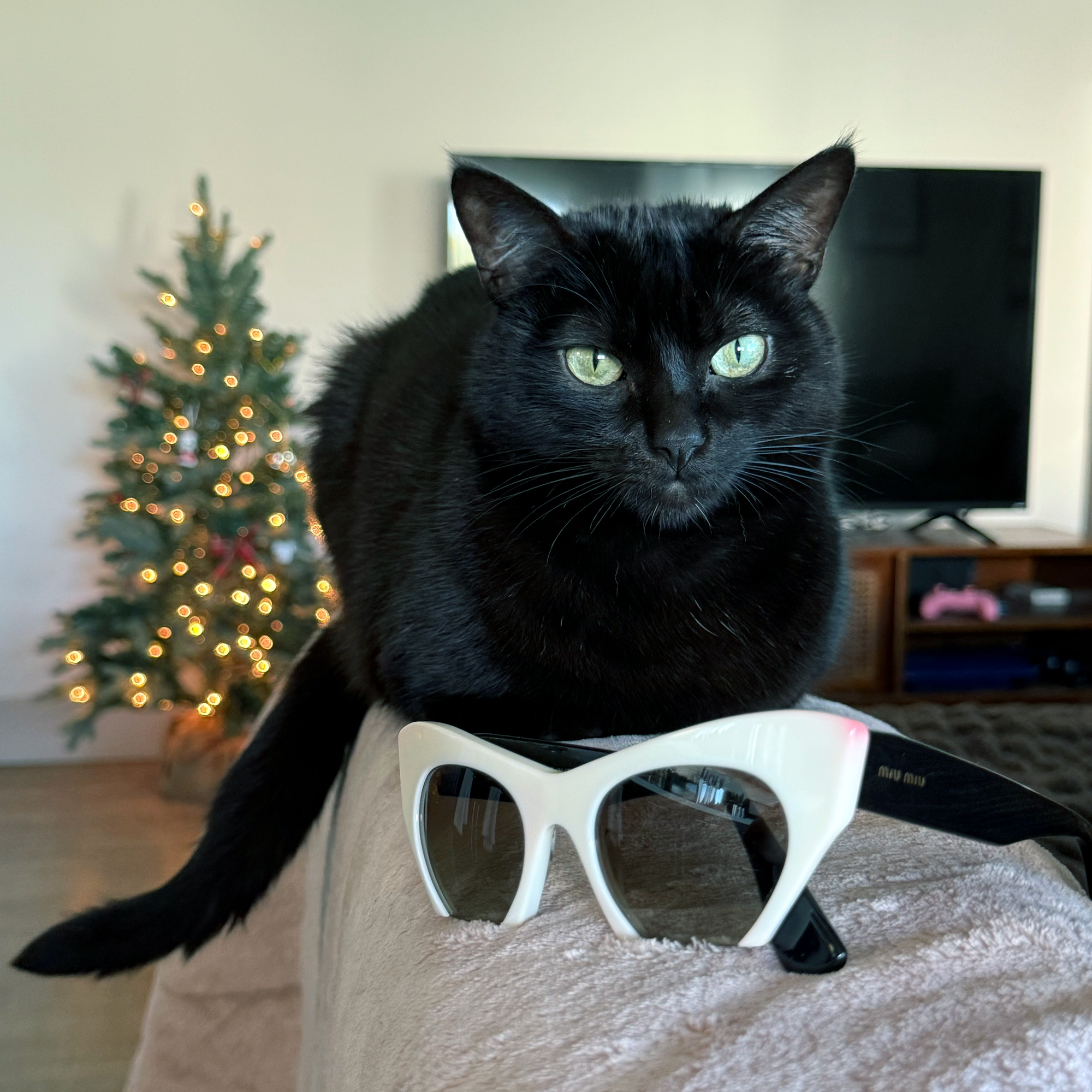 Miu Miu Vintage Cat Eye Sunglasses