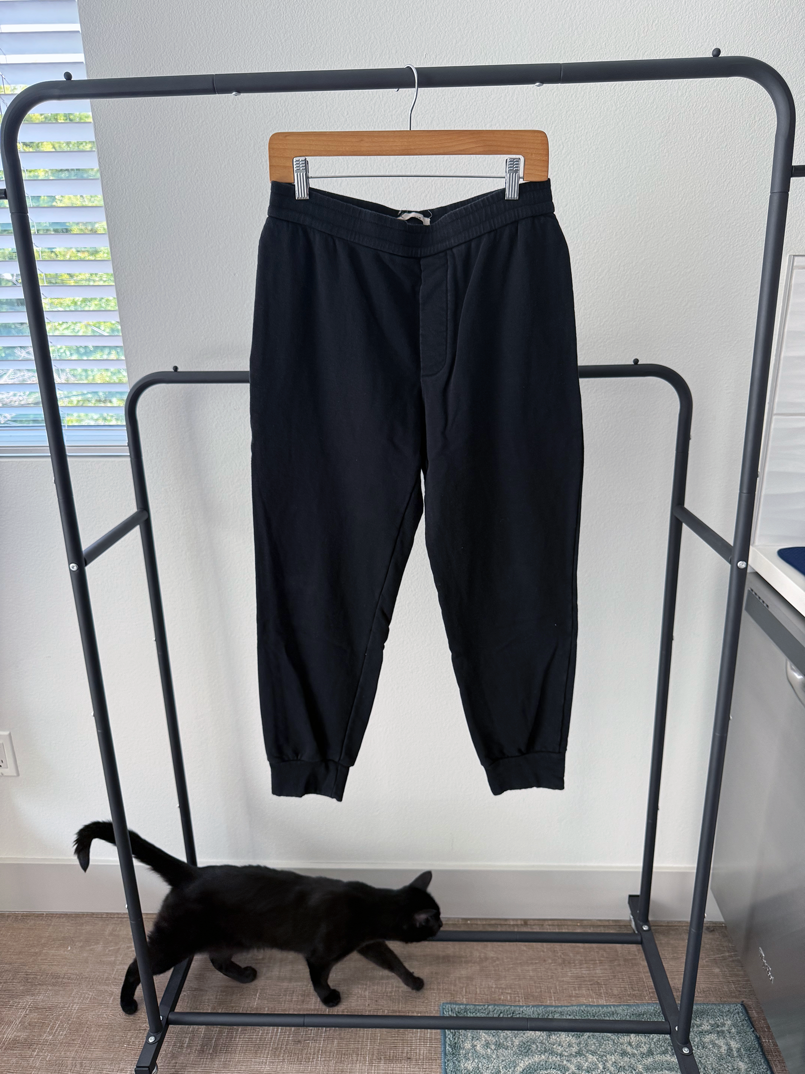 The Row Edgar Tapered Cotton Sweatpants