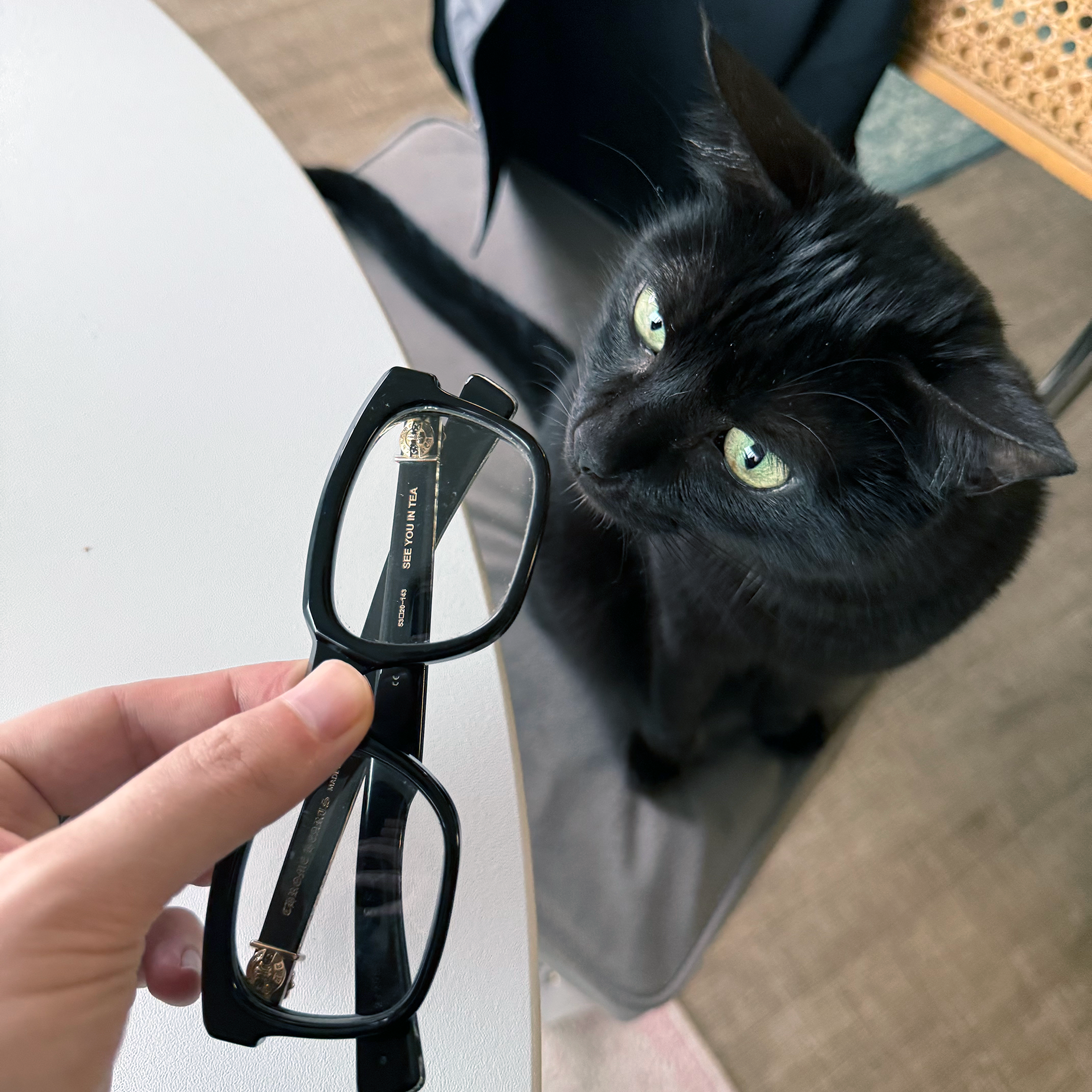 Chrome Hearts "See You In Tea" Glasses Black/Gold