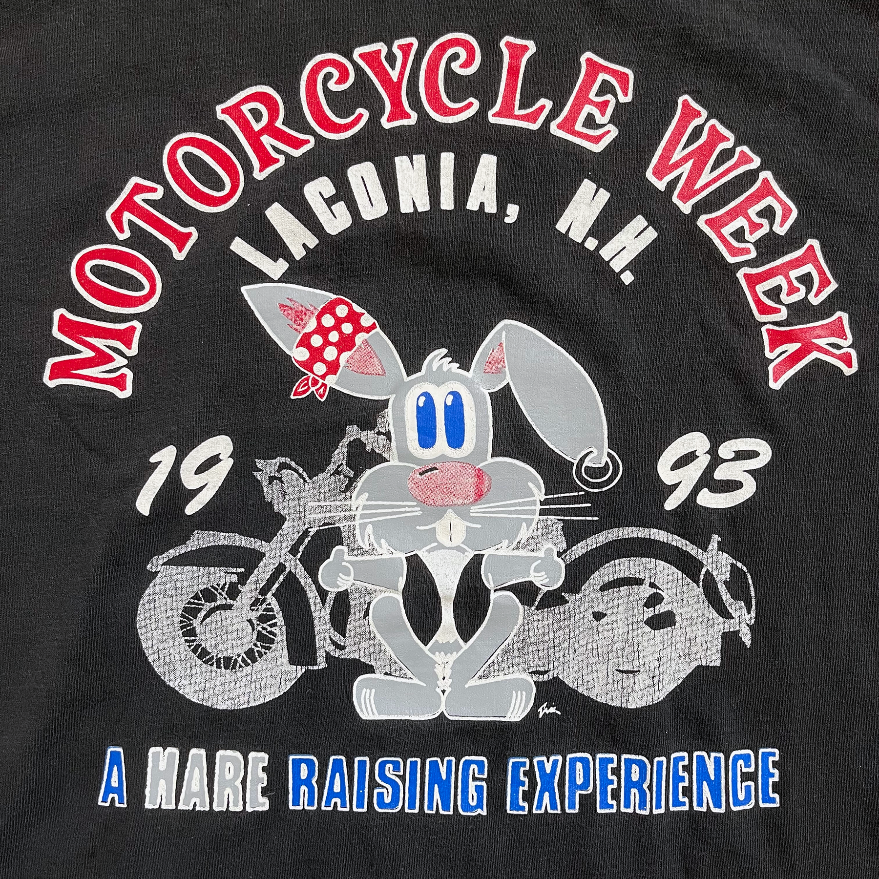 Vintage 1993 Laconia Motorcycle Week Hare Tee