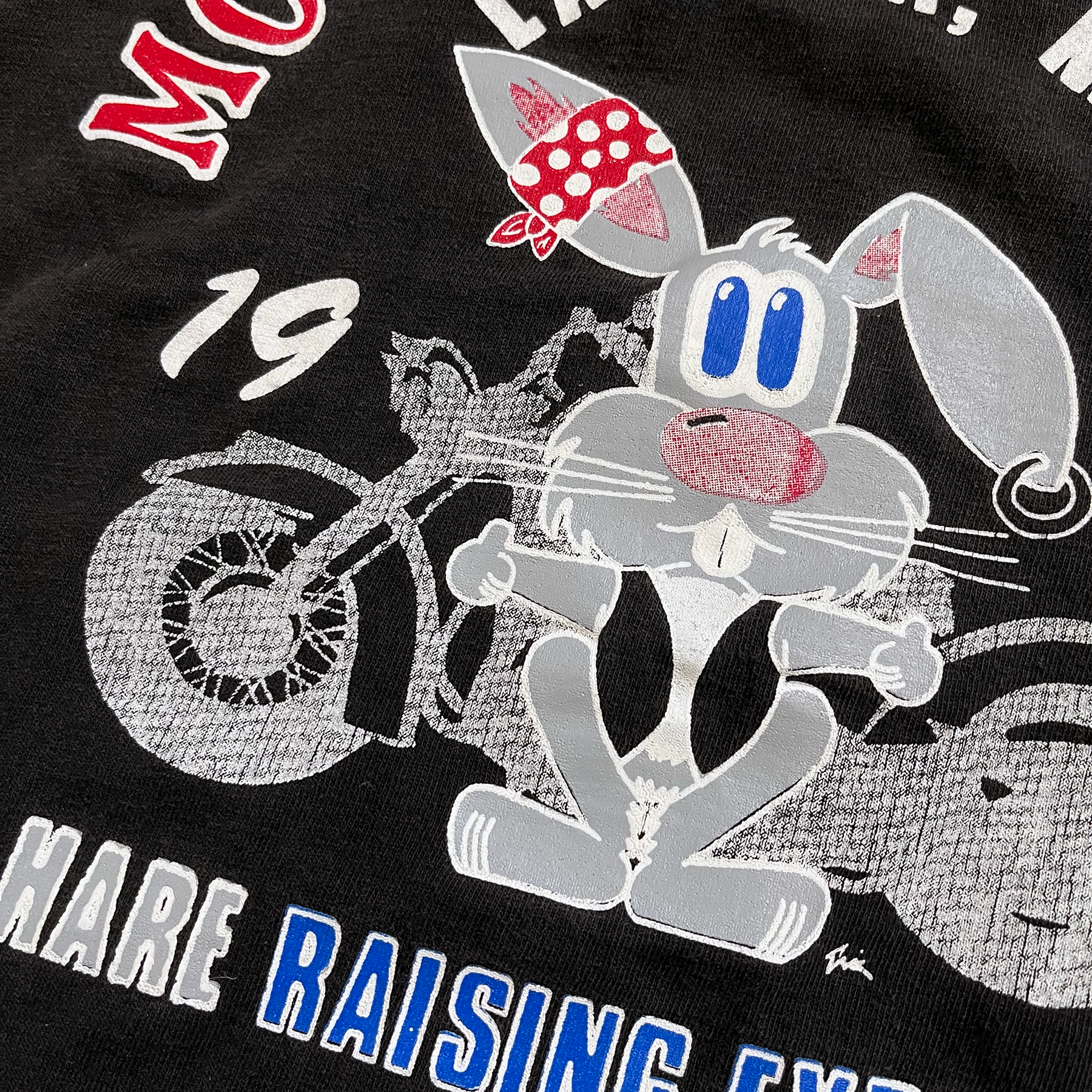 Vintage 1993 Laconia Motorcycle Week Hare Tee