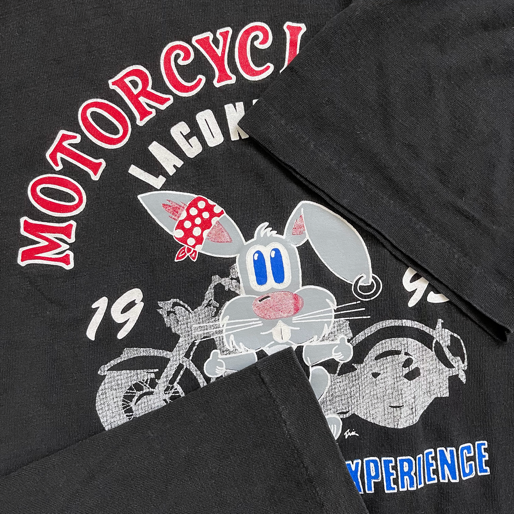 Vintage 1993 Laconia Motorcycle Week Hare Tee