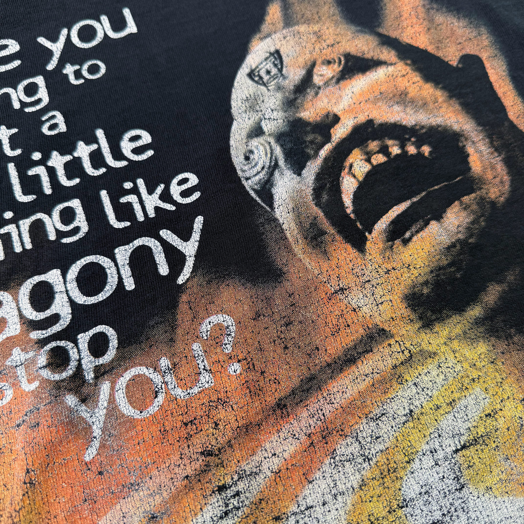 Vintage 2003 Agony Tee