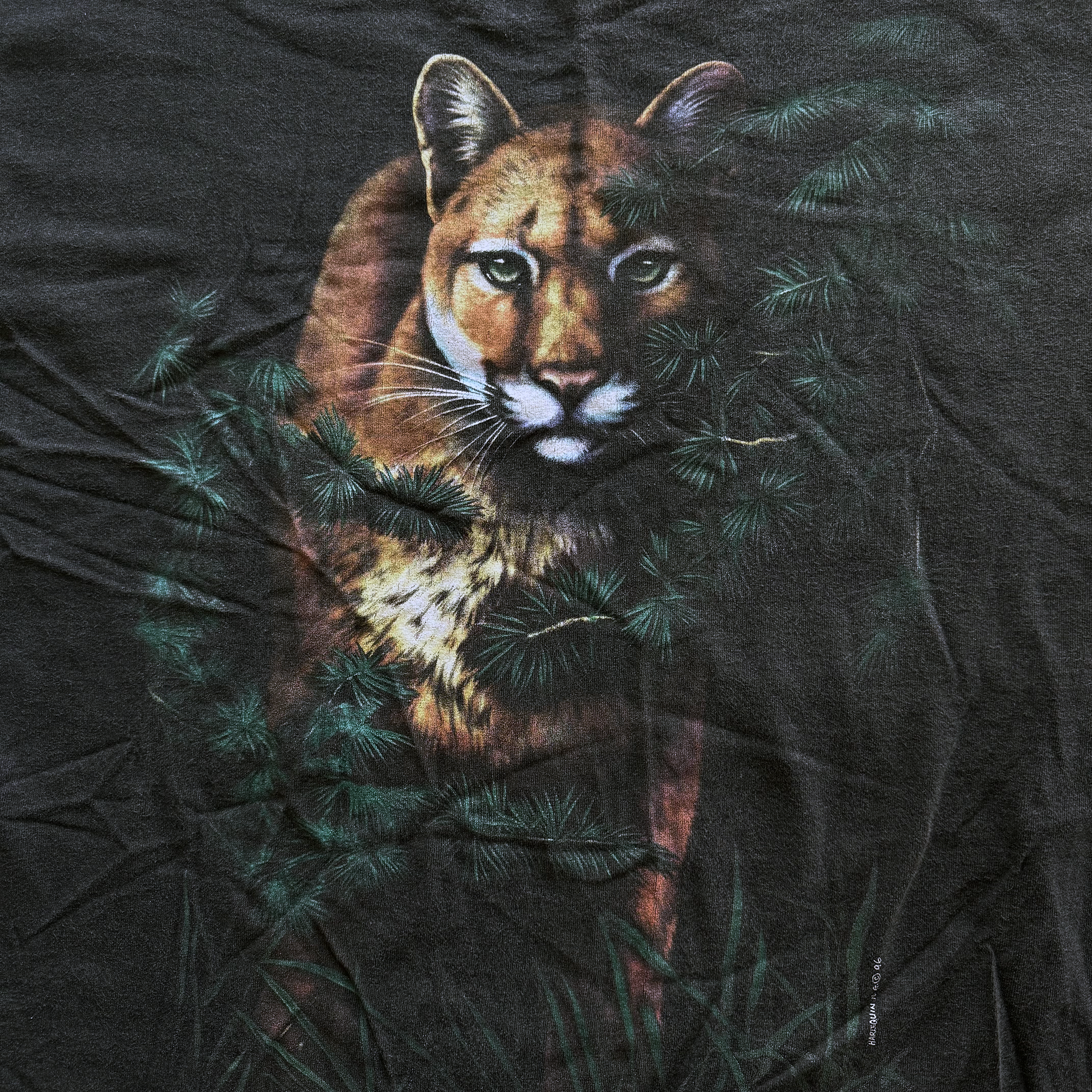 Vintage 1996 Mountain Lion Nature Tee